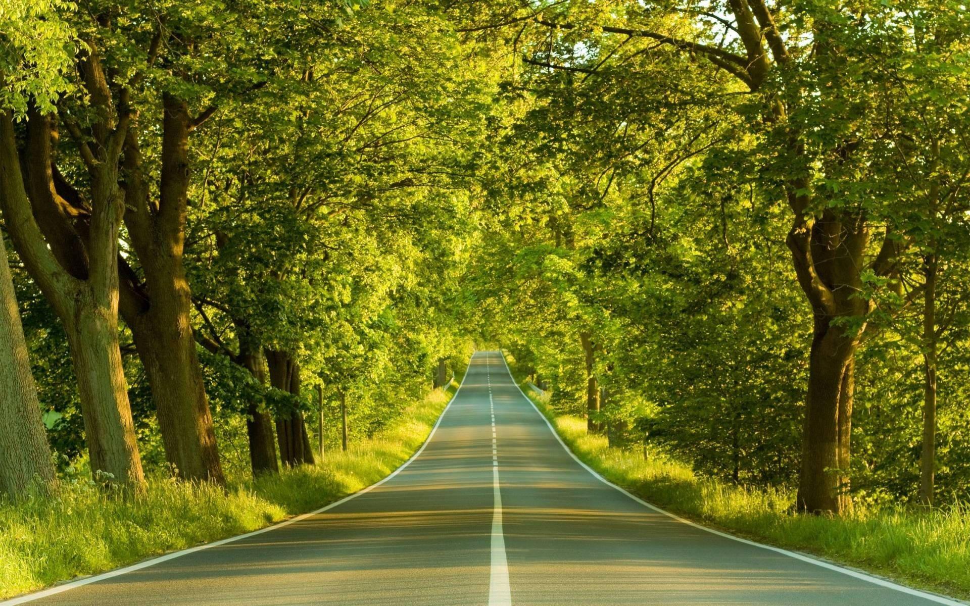 Desktop Full Screen Hd Road — 1920x1200 wallpaper