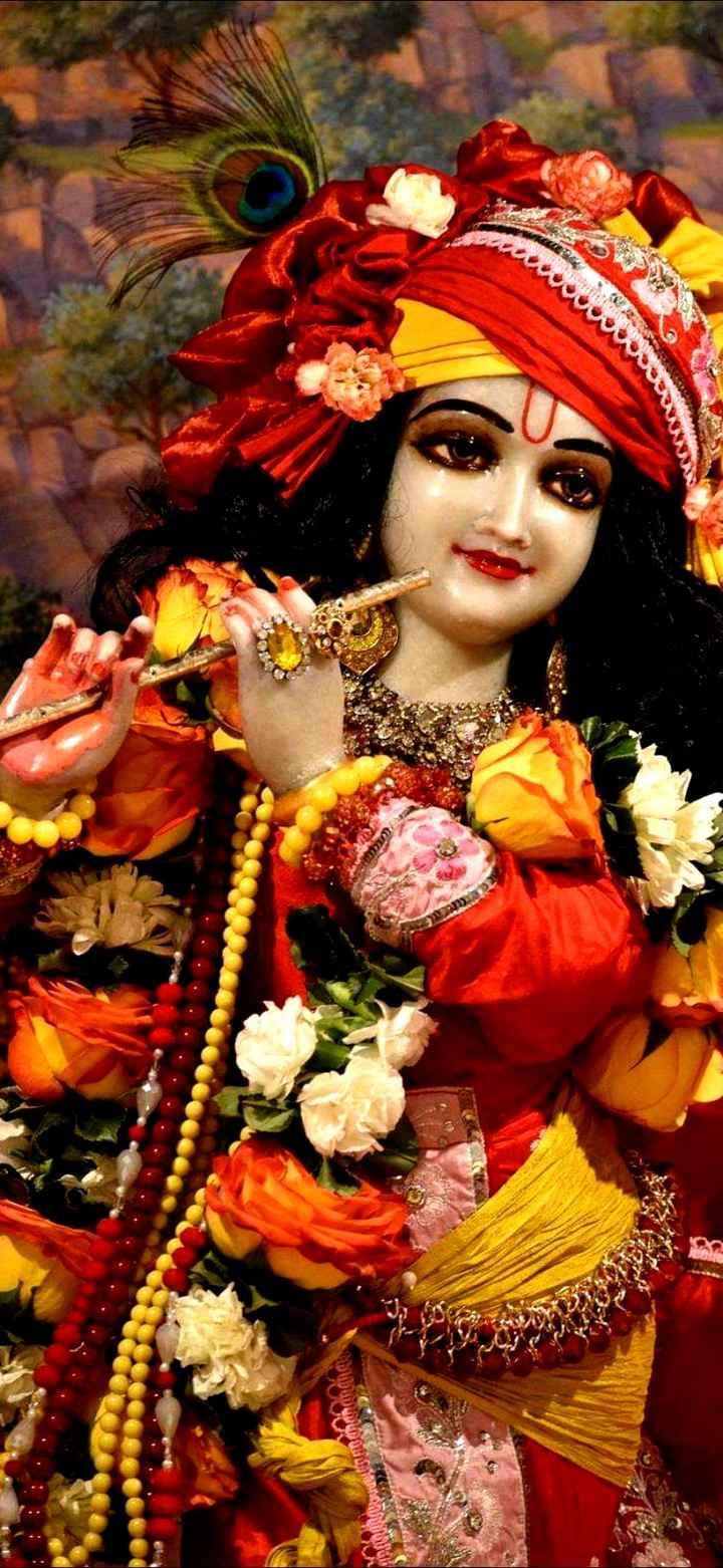 Devotional Tribute to the Divine Lord Krishna by ISKCON — 720x1562 wallpaper