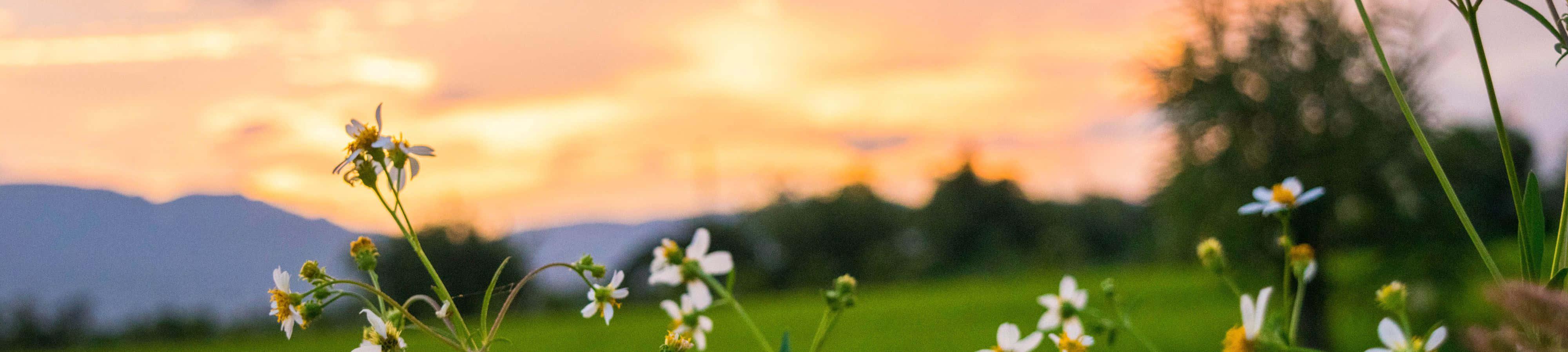 Discover the breathtaking grandeur of nature — 4000x900 wallpaper