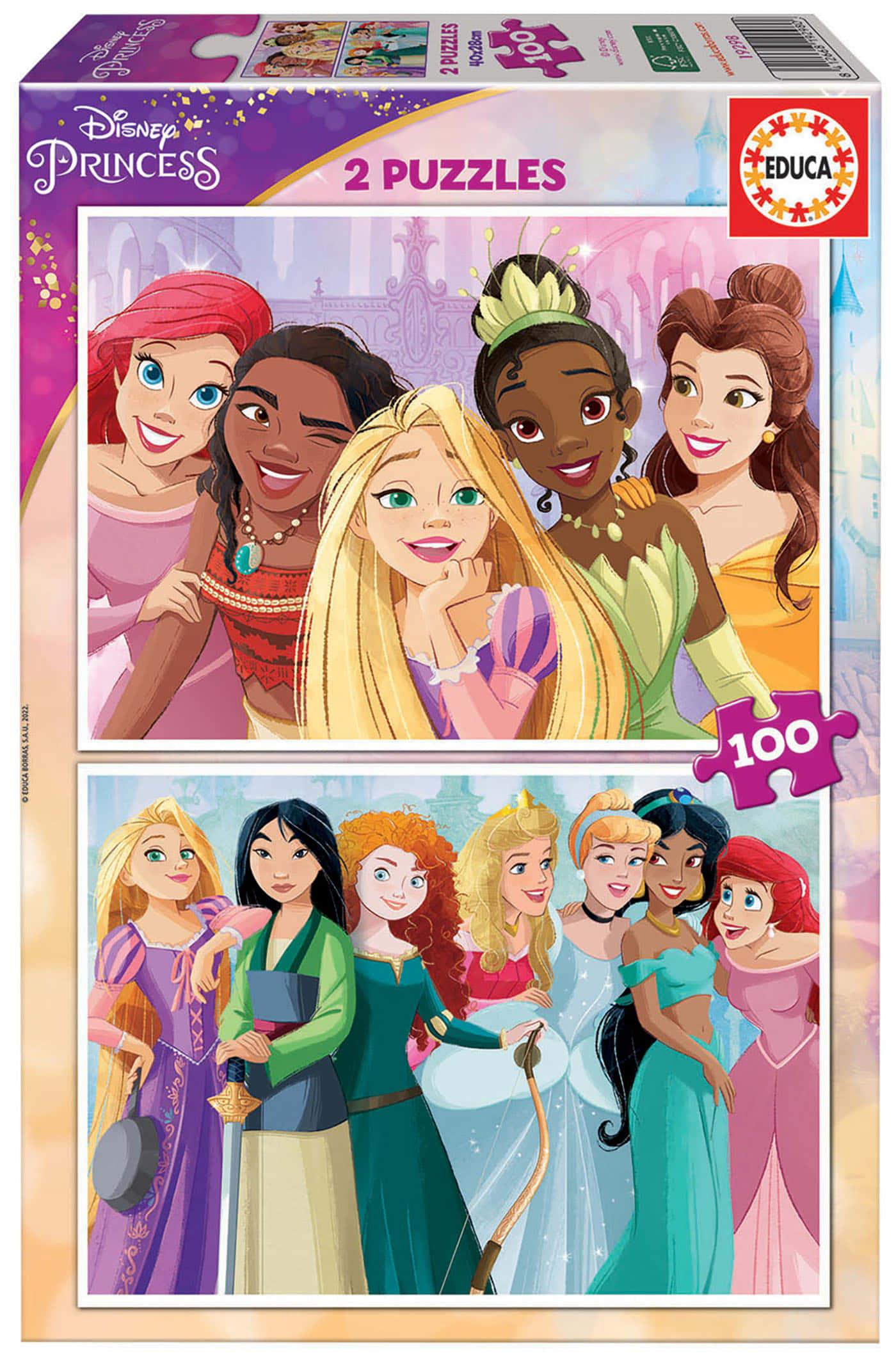 Disney Princess pictures — 1400x2124 wallpaper