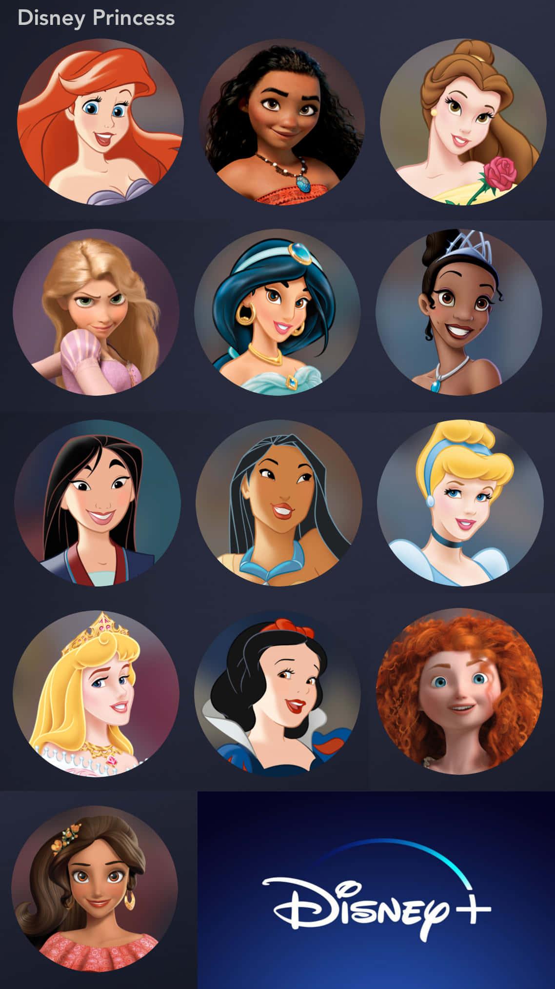 Disney Princess pictures — 1138x2027 wallpaper