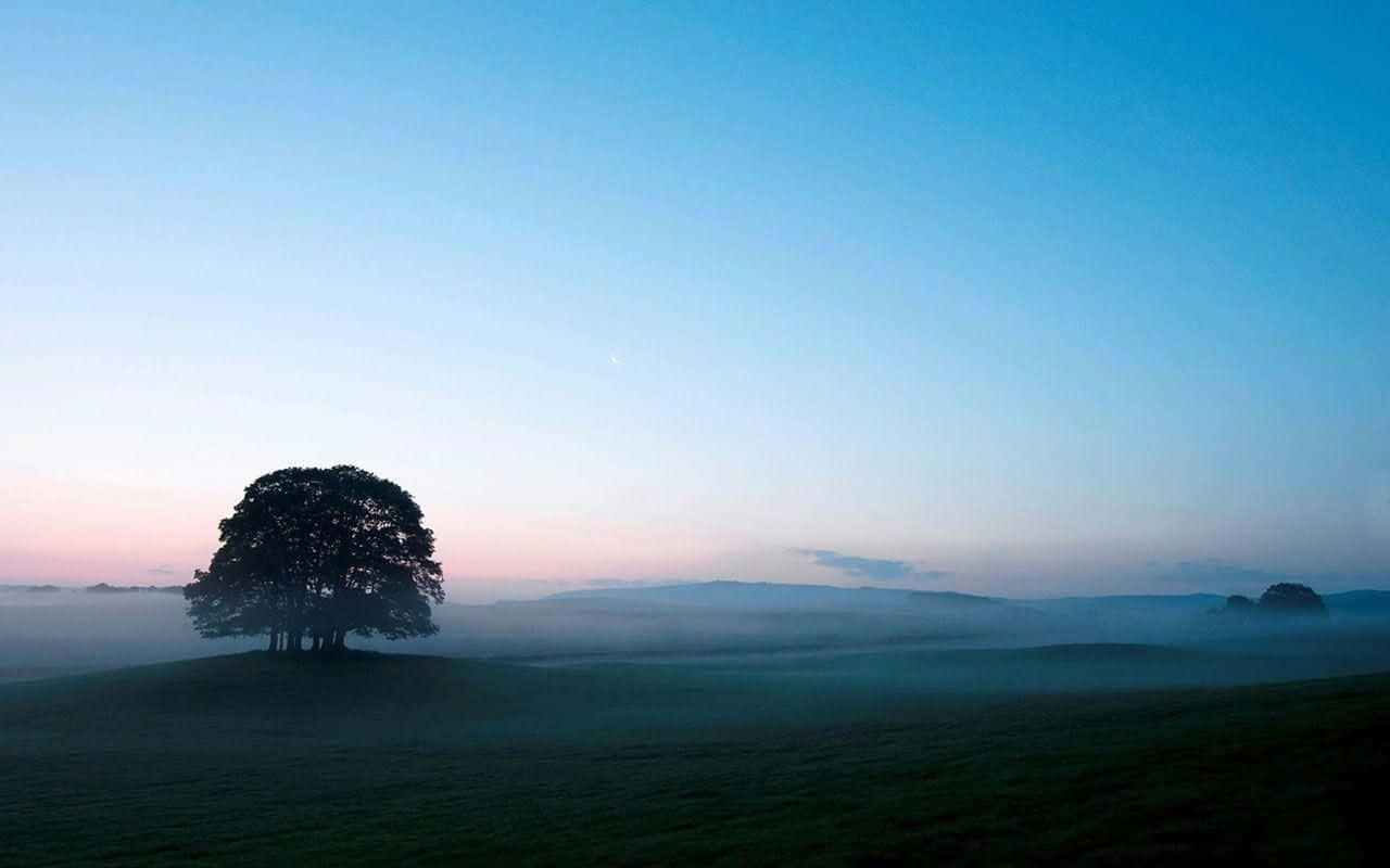 Dive into a world of serenity and relaxation with soothing blue aesthetic — 1280x800 wallpaper