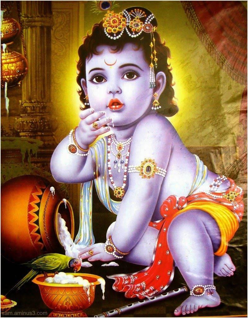 Divine Moment of Bal Krishna Enjoying Curd with a Parakeet — 800x1025 wallpaper