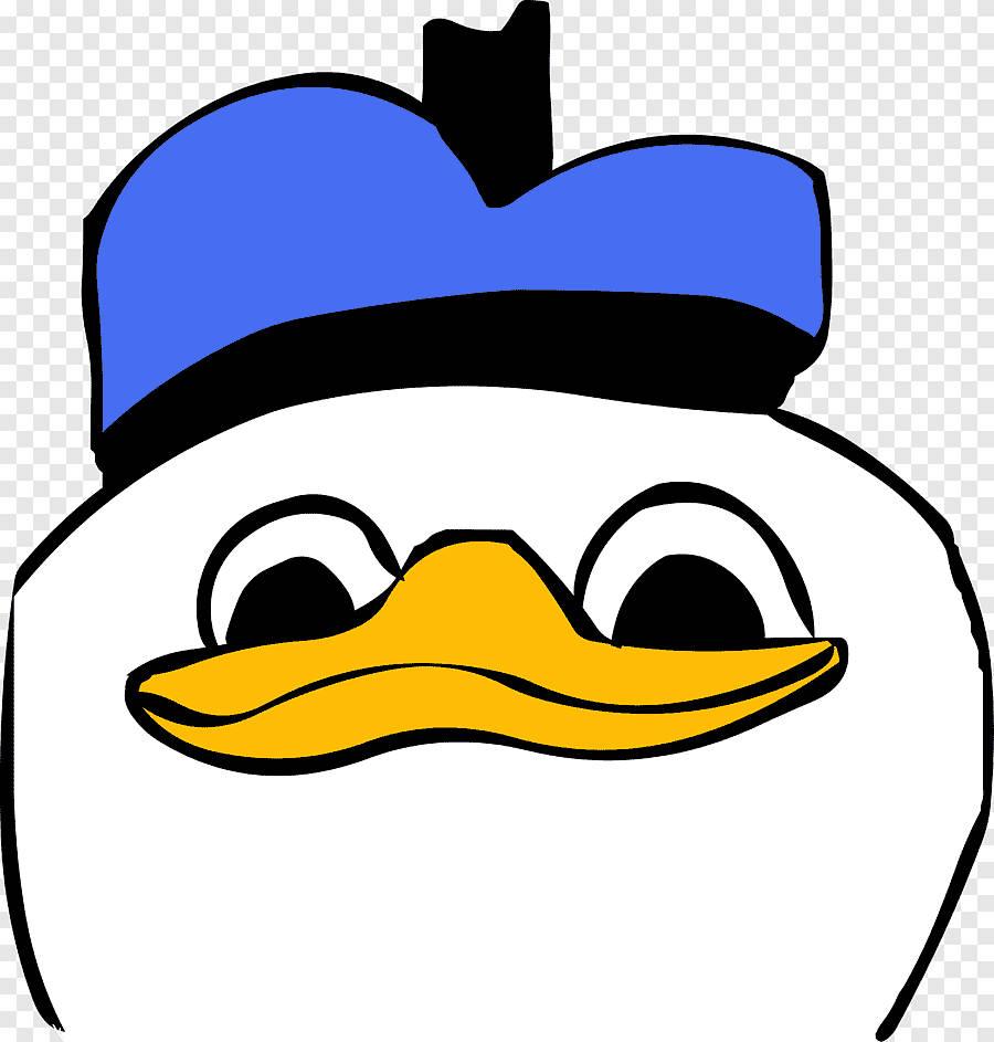 Donal Duck Meme PFP — 900x943 wallpaper