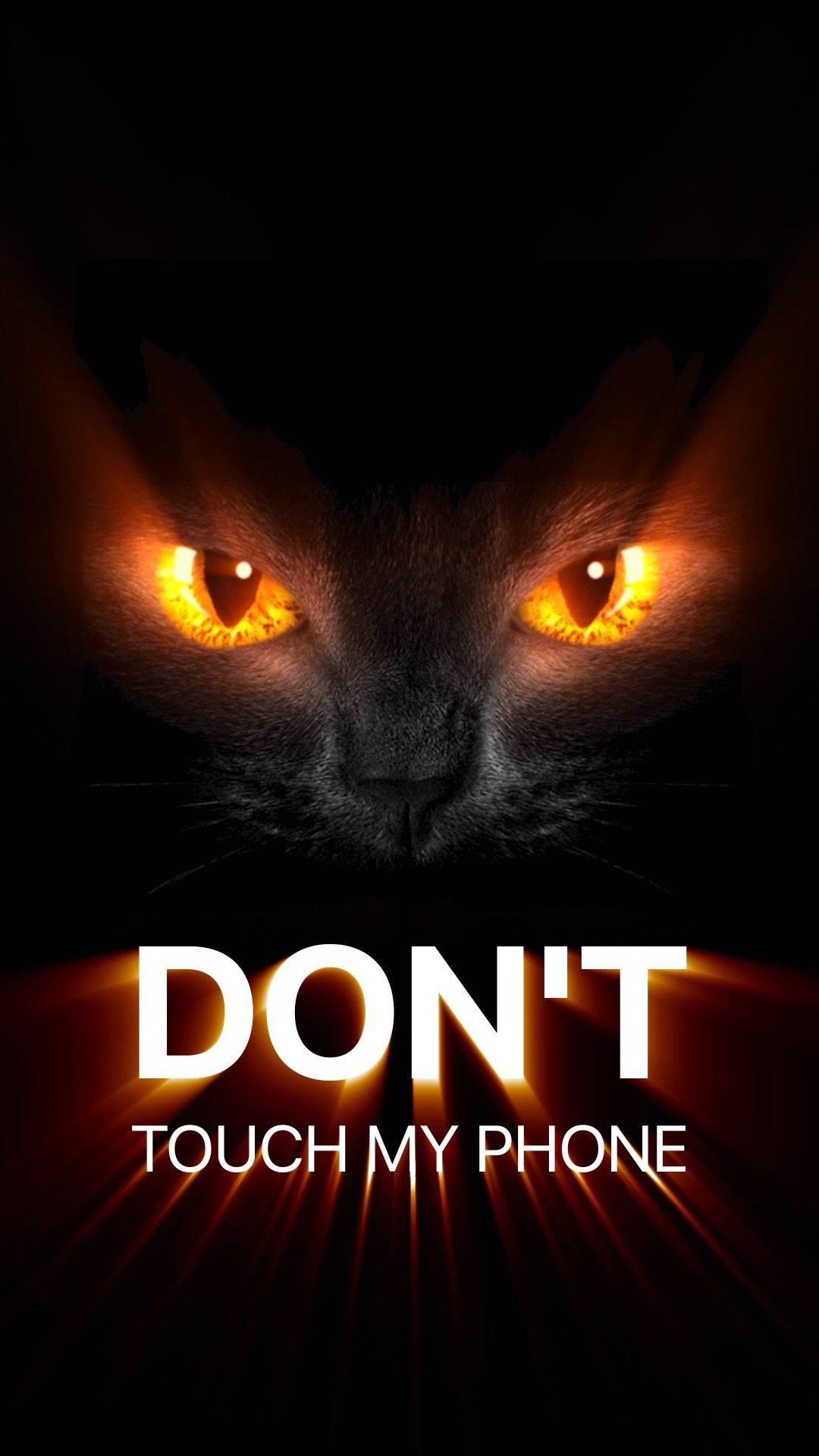Don't Touch My Phone Cat Eyes — 1080x1920 wallpaper