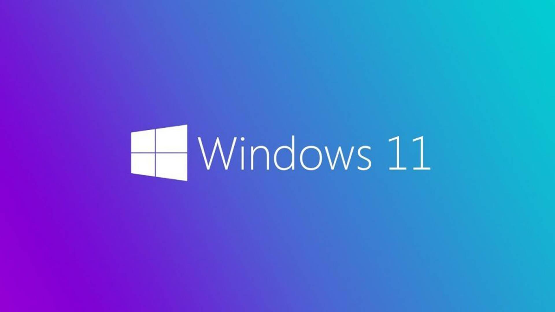 Dynamic Windows 11 Desktop Background — 1920x1080 wallpaper