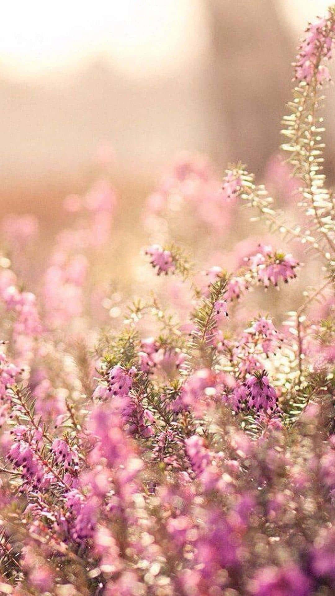 Elegant Floral Pretty Phone Background — 1080x1920 wallpaper