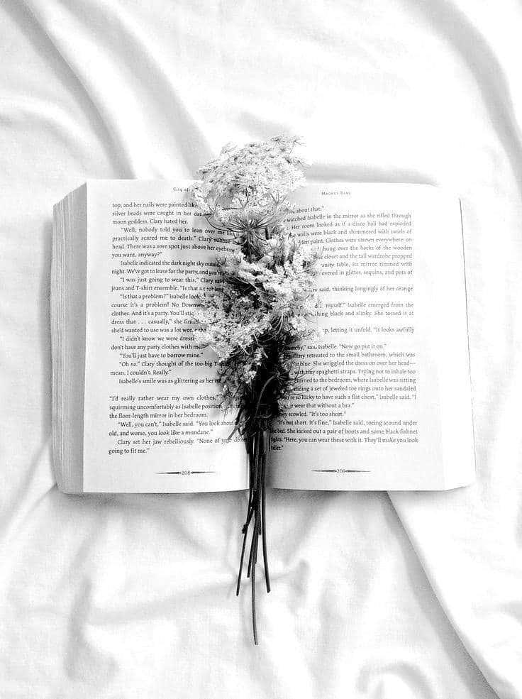 Elegant White Aesthetic — 736x985 wallpaper