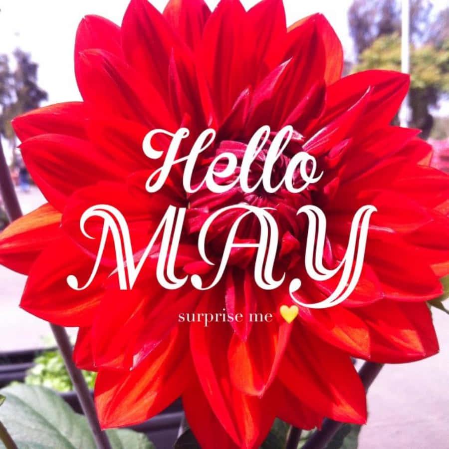 Embrace May in all its beauty — 900x900 wallpaper
