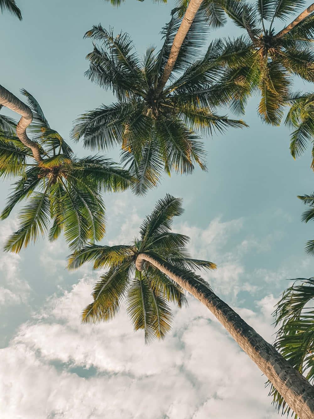 Embrace summer moments with a vibrant, colorful aesthetic. — 1000x1333 wallpaper