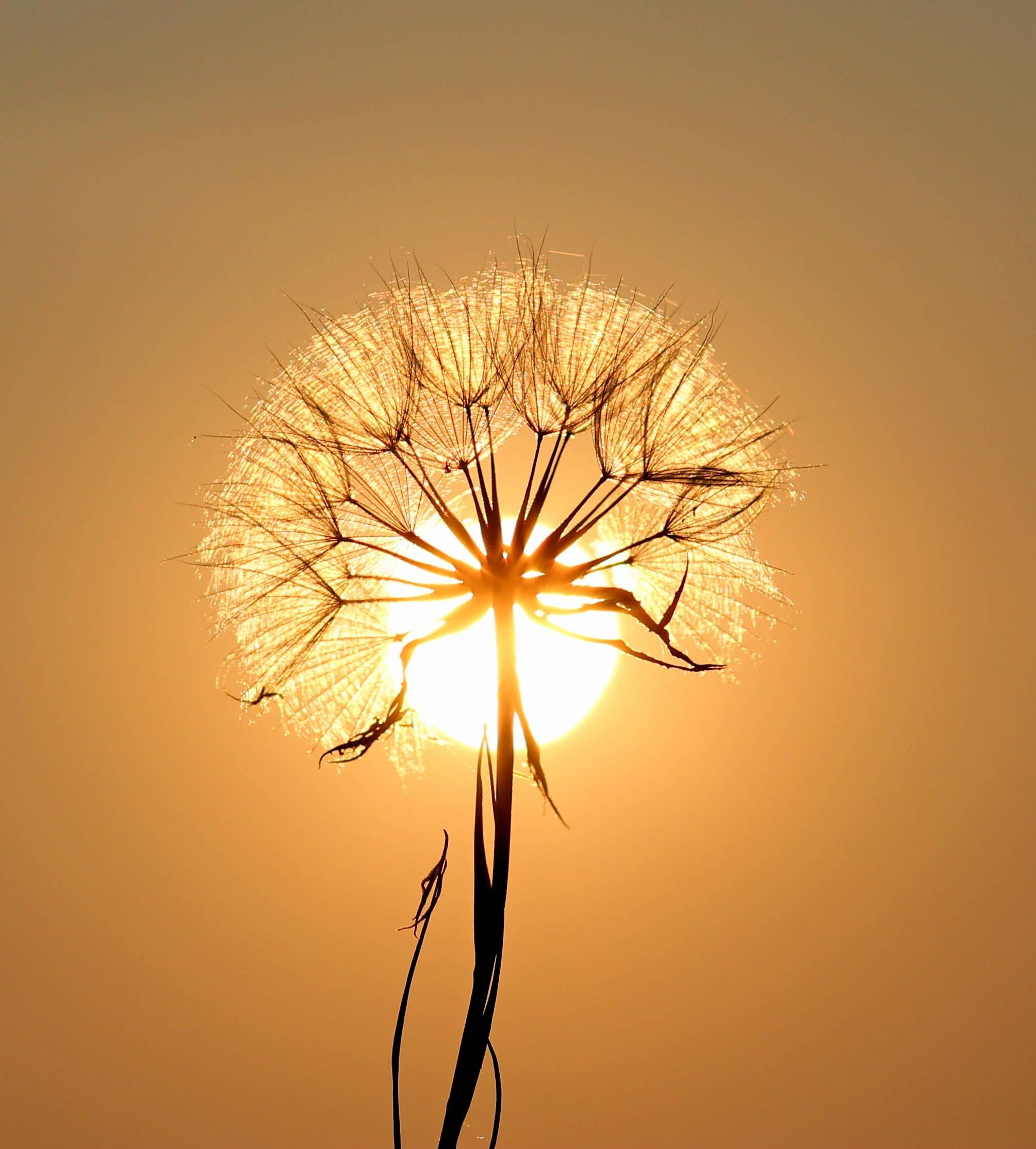 Embrace the beauty of change — 2009x2227 wallpaper