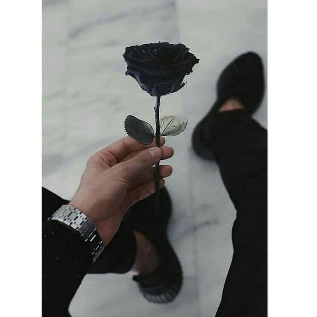 Embrace the beauty of darkness — 1055x1055 wallpaper