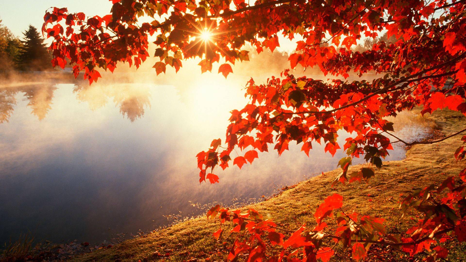 Embrace the beauty of Fall — 1920x1080 wallpaper