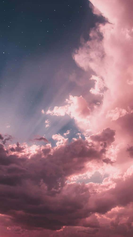 Embrace the cool pink aesthetic — 564x1002 wallpaper