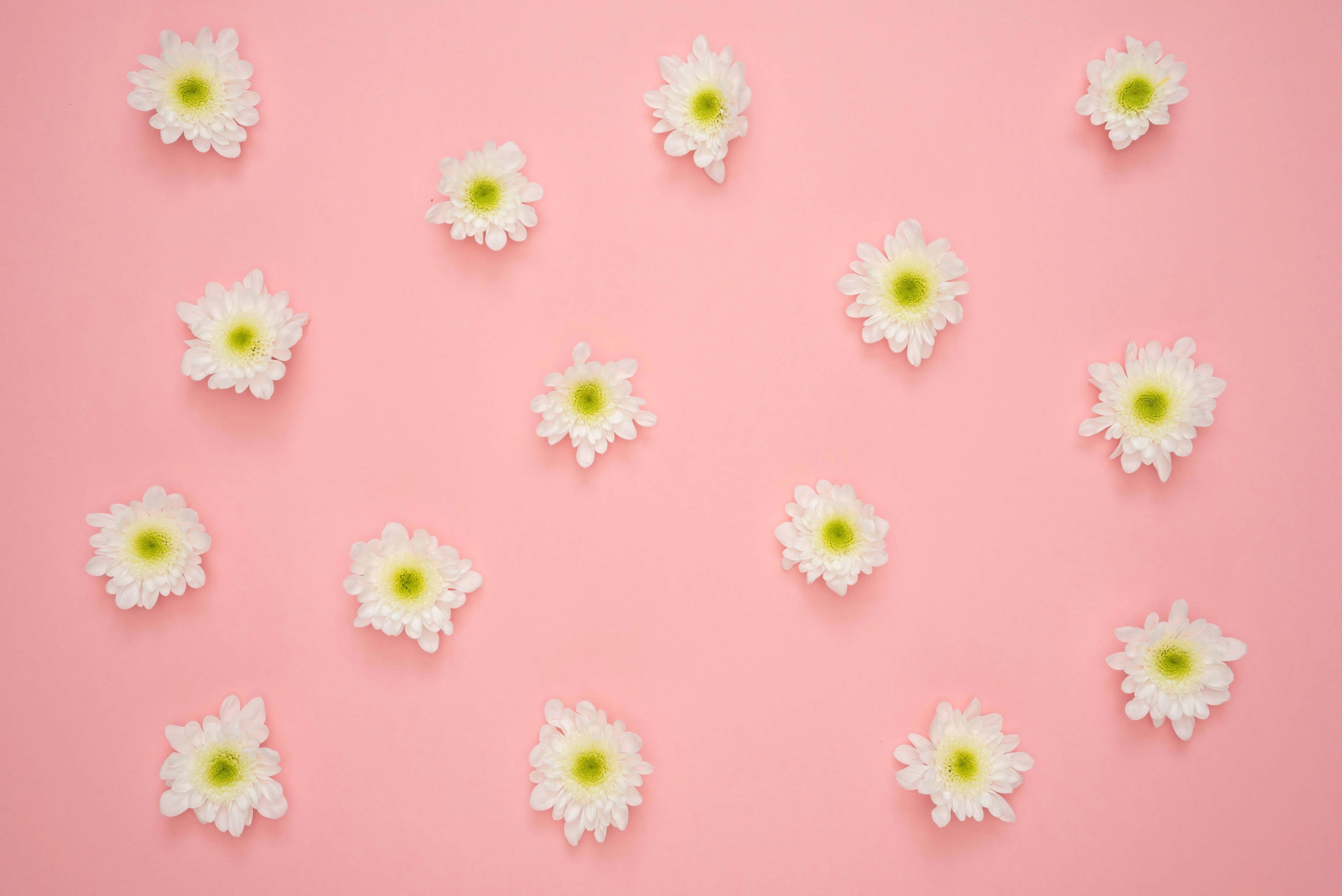 Embrace the Soothing Soft Colours of Pastel Aesthetics — 6016x4016 wallpaper