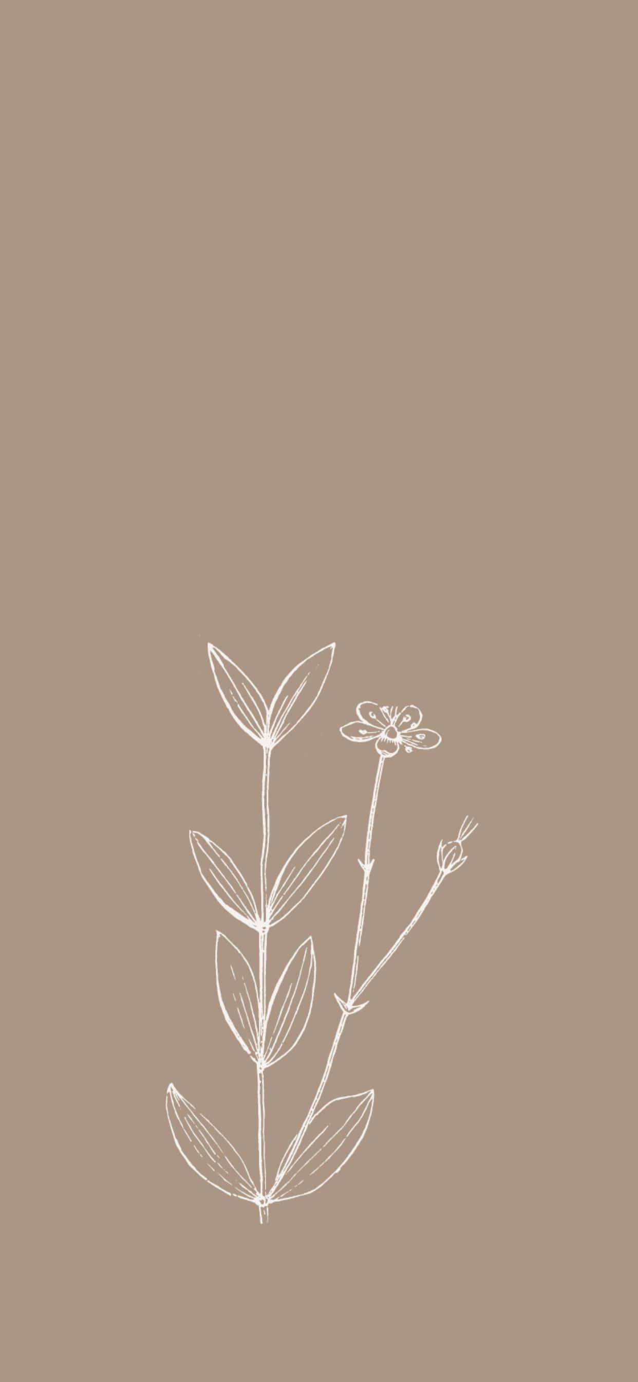 Enchanting Forest Scene Phone Background — 1242x2688 wallpaper