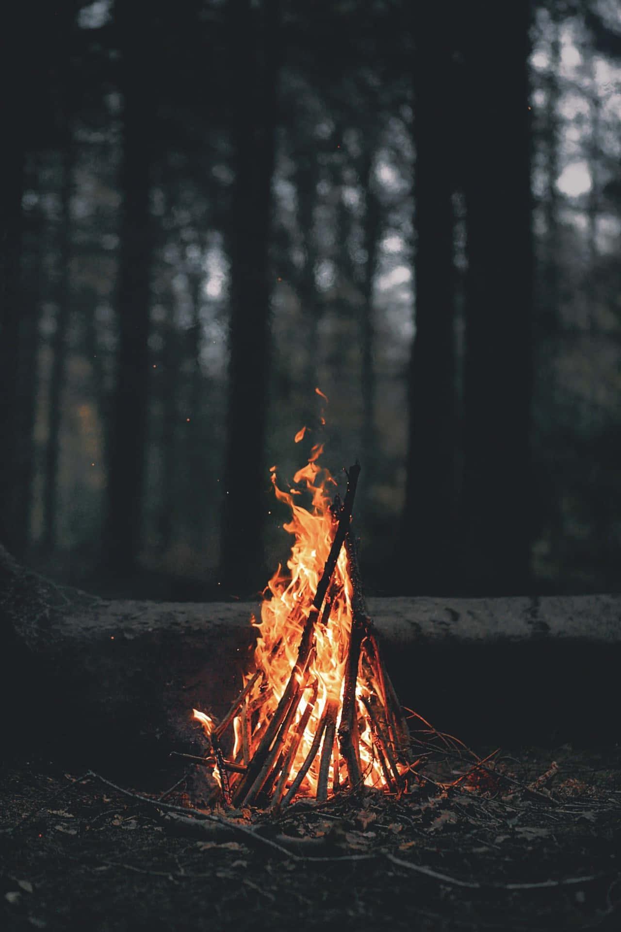 Enchanting Forest Trail Home Screen — 1280x1920 wallpaper