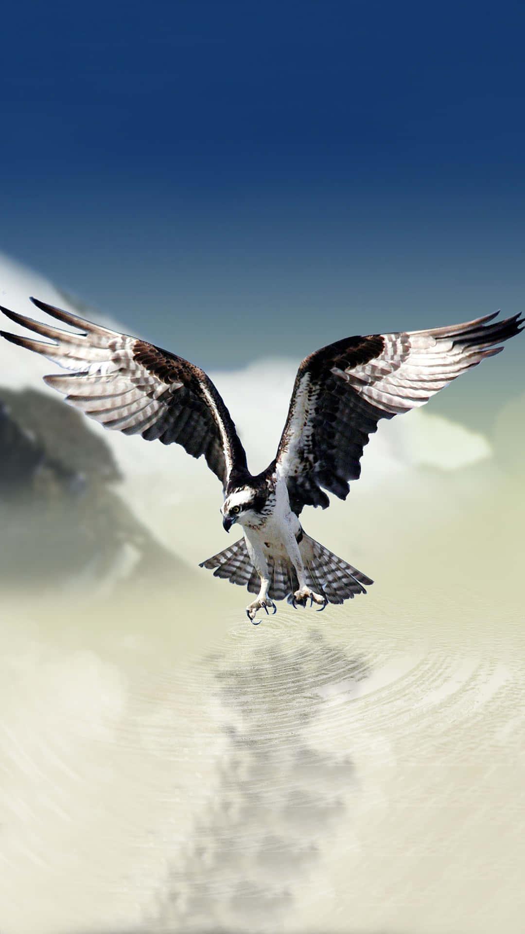 Enjoy a bird's-eye view of the world with Eagle iPhone! — 1080x1920 wallpaper