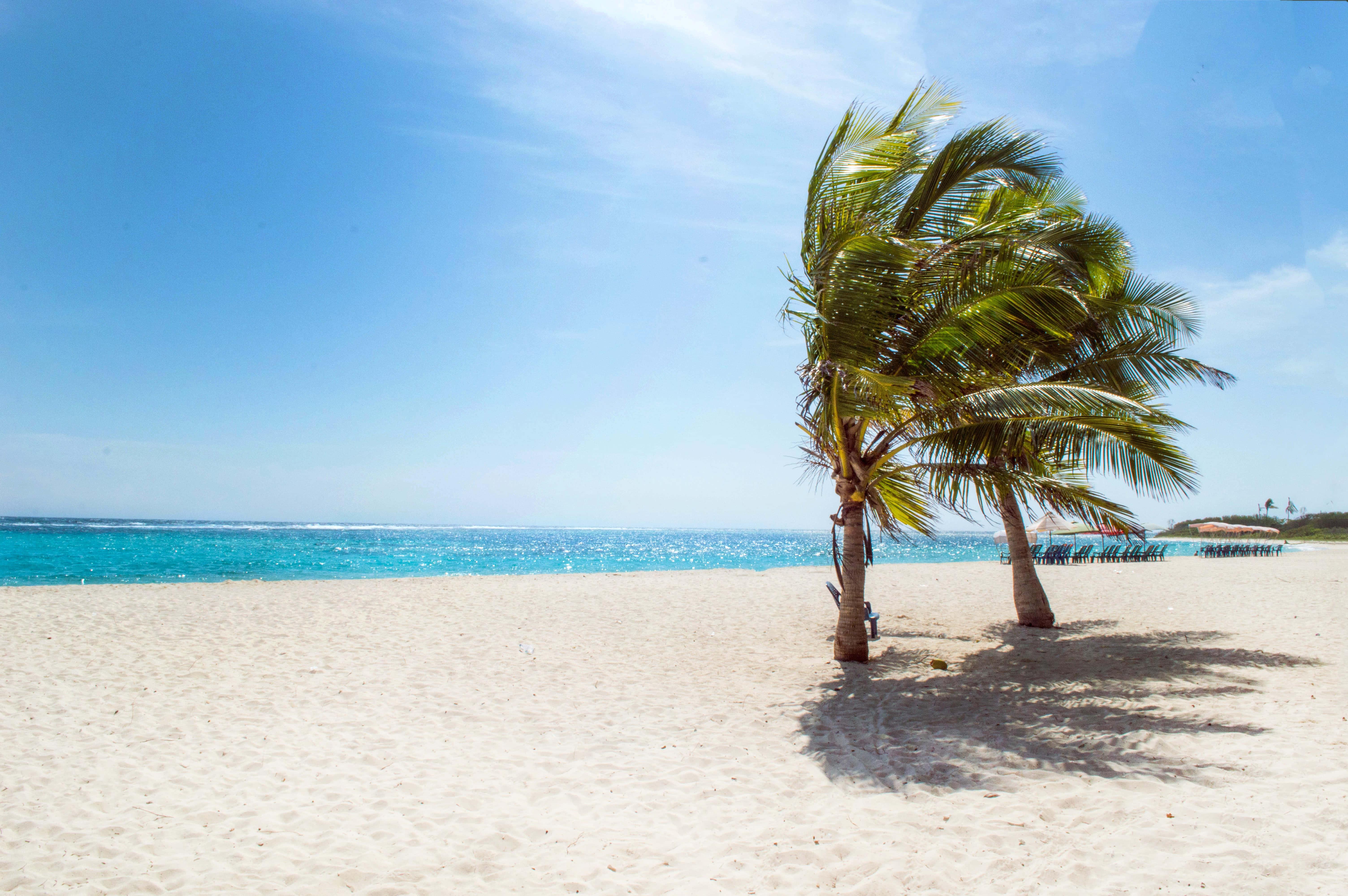 Enjoy a morning of relaxation and reflection at the beautiful tropical beach. — 6016x4000 wallpaper