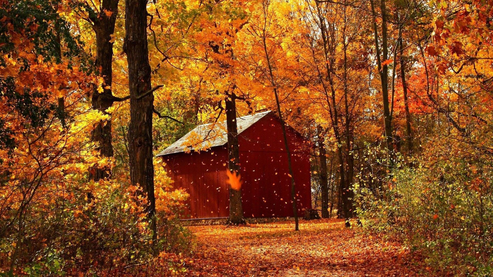 Enjoy a peaceful autumn weekend escape in a cozy cabin in the woods. — 1920x1080 wallpaper