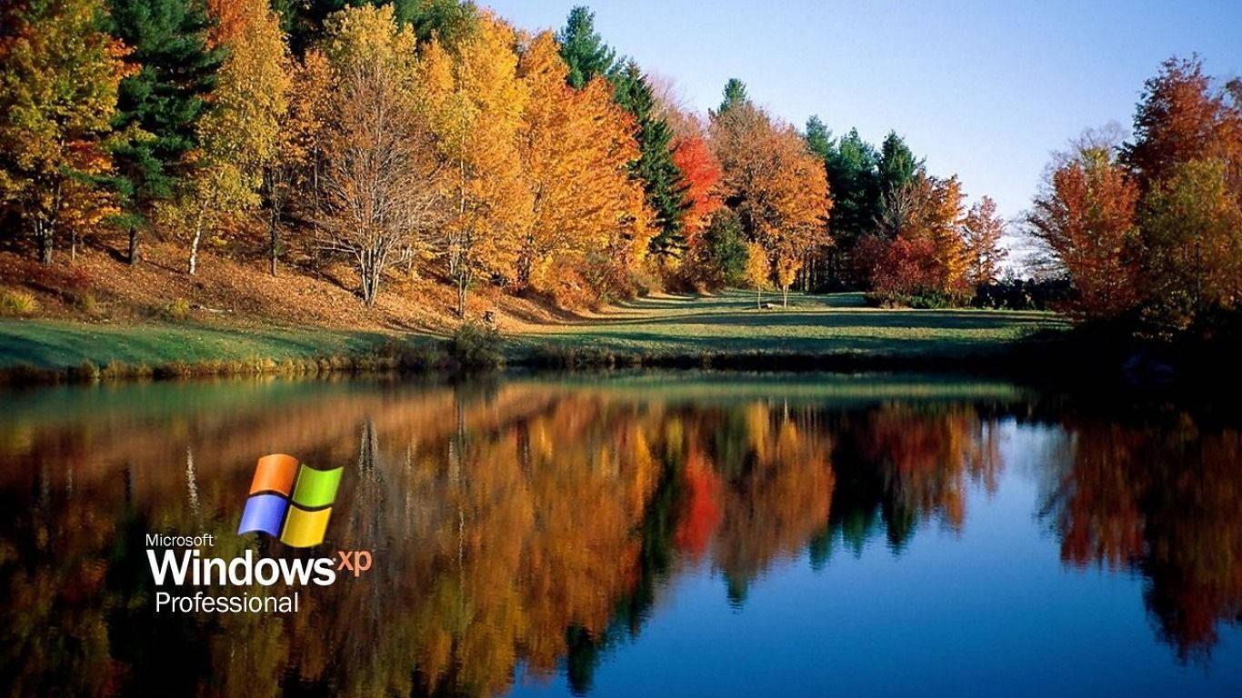Enjoy a Wallpaper for Windows XP — 1366x768 wallpaper
