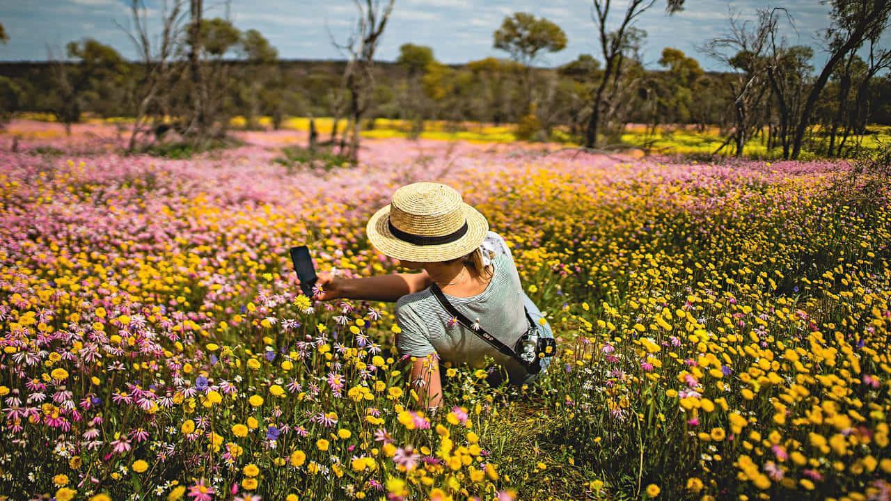 Enjoy an Unforgettable Springtime — 1280x720 wallpaper