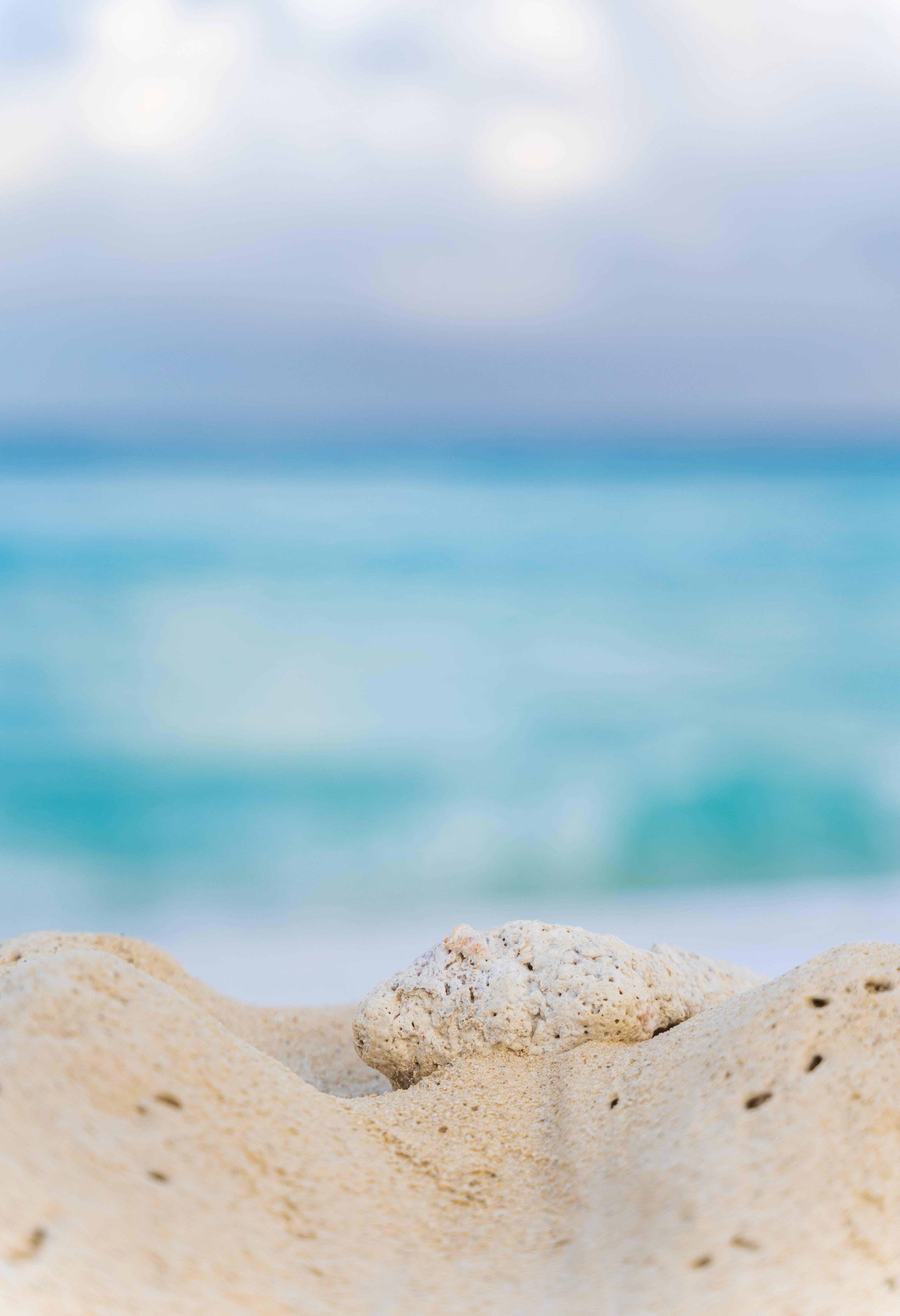 Enjoy Beach Life to the Fullest — 3796x5549 wallpaper