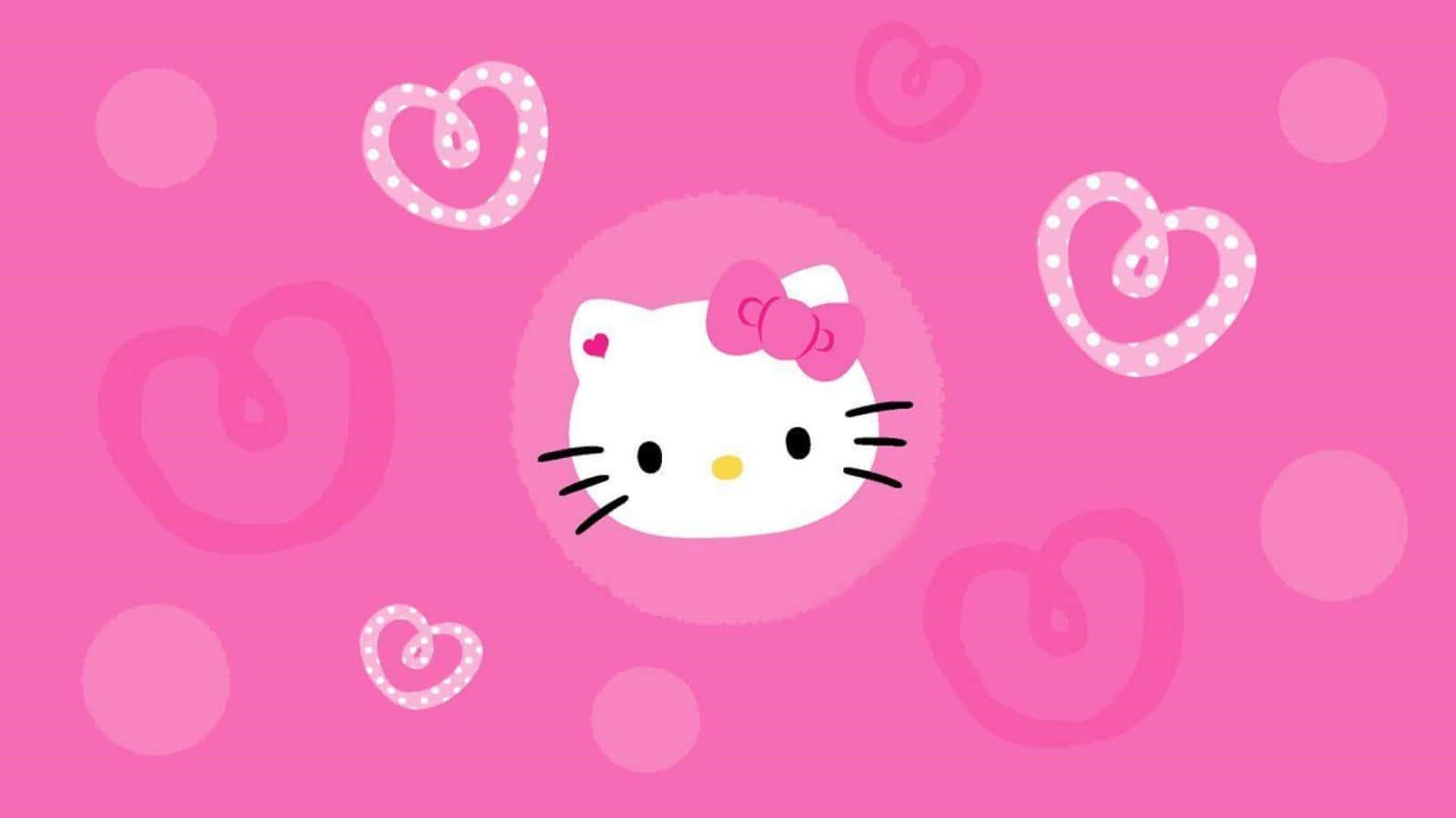 Enjoy Computer Time with Your Favourite Kitty — 1601x900 wallpaper