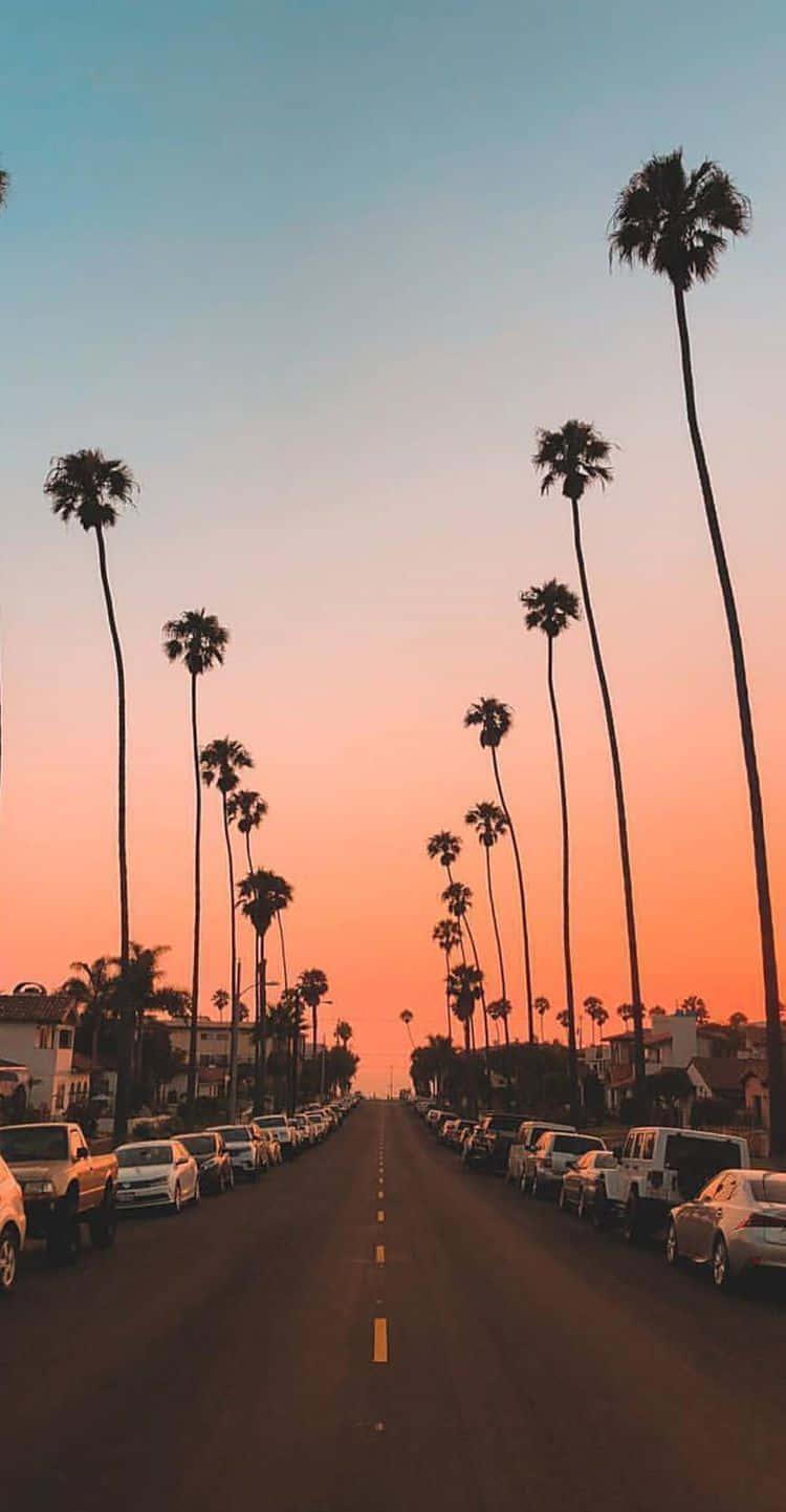 Enjoy every moment of summer and make some family memories. — 750x1441 wallpaper
