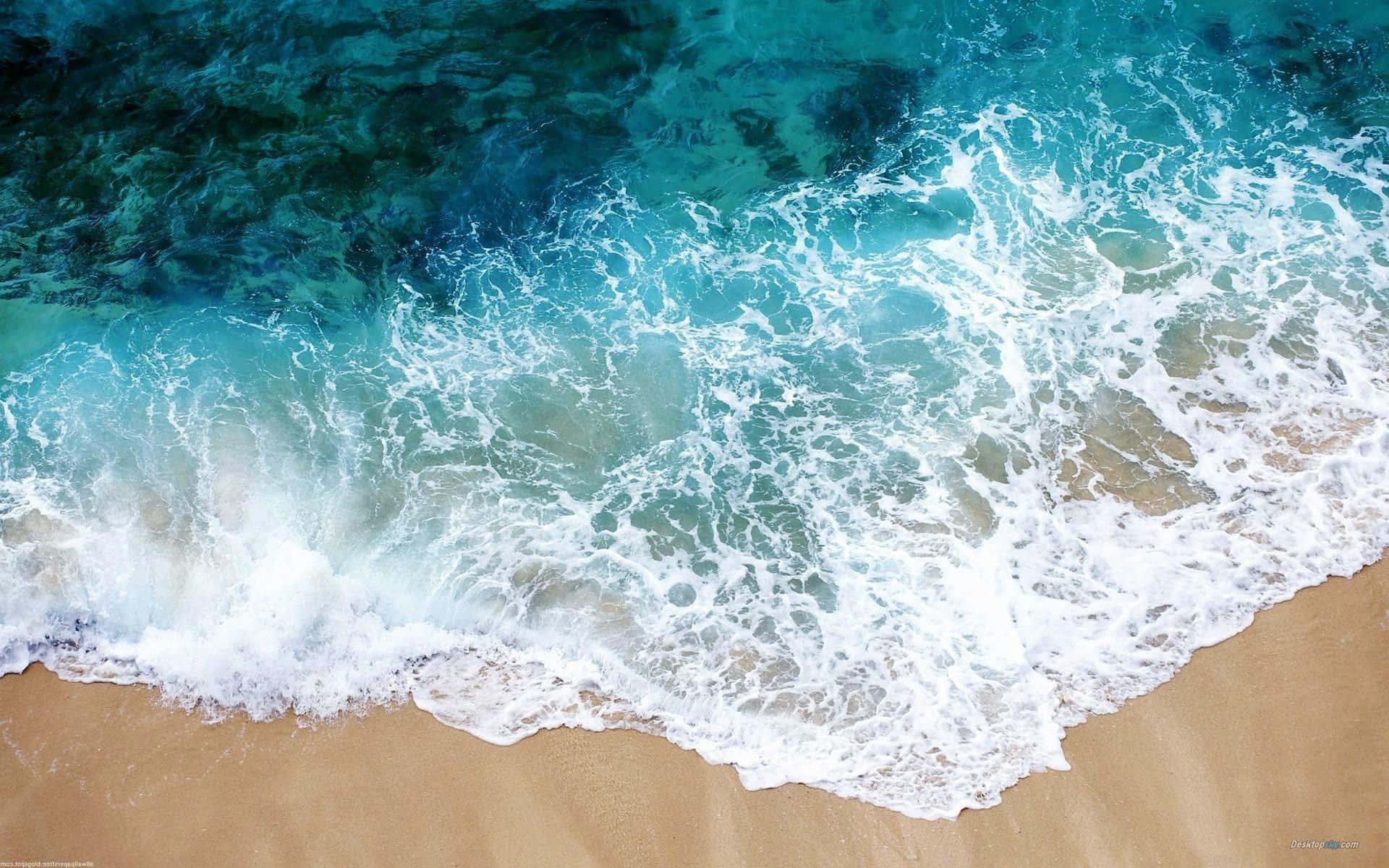 Enjoy every moment of summer's beauty! — 1920x1200 wallpaper