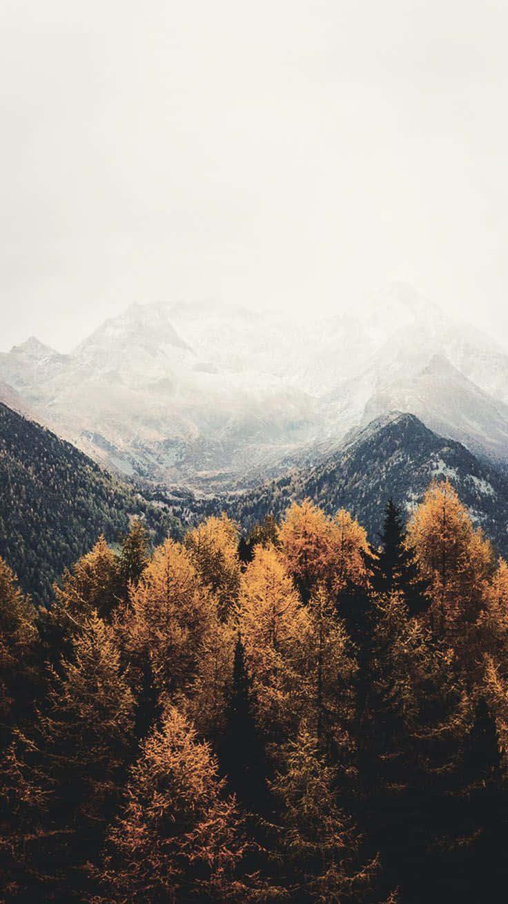 Enjoy the beautiful colors of Fall with your Iphone — 736x1308 wallpaper