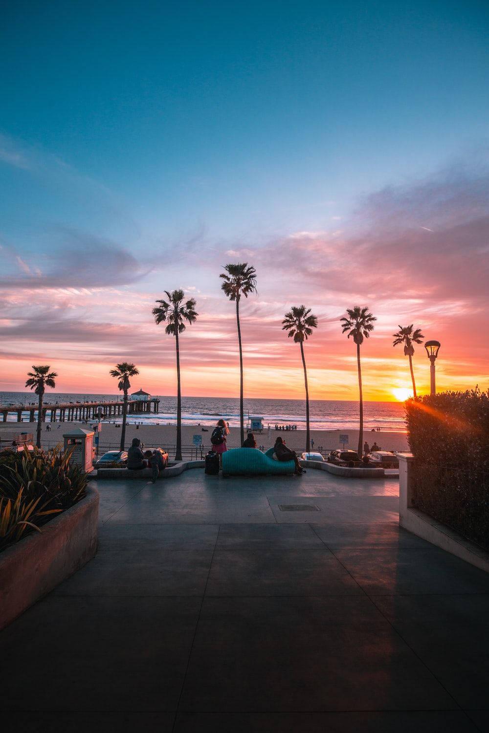 Enjoy the beauty of a beach sunset in this tranquil wallpapers — 1000x1500 wallpaper