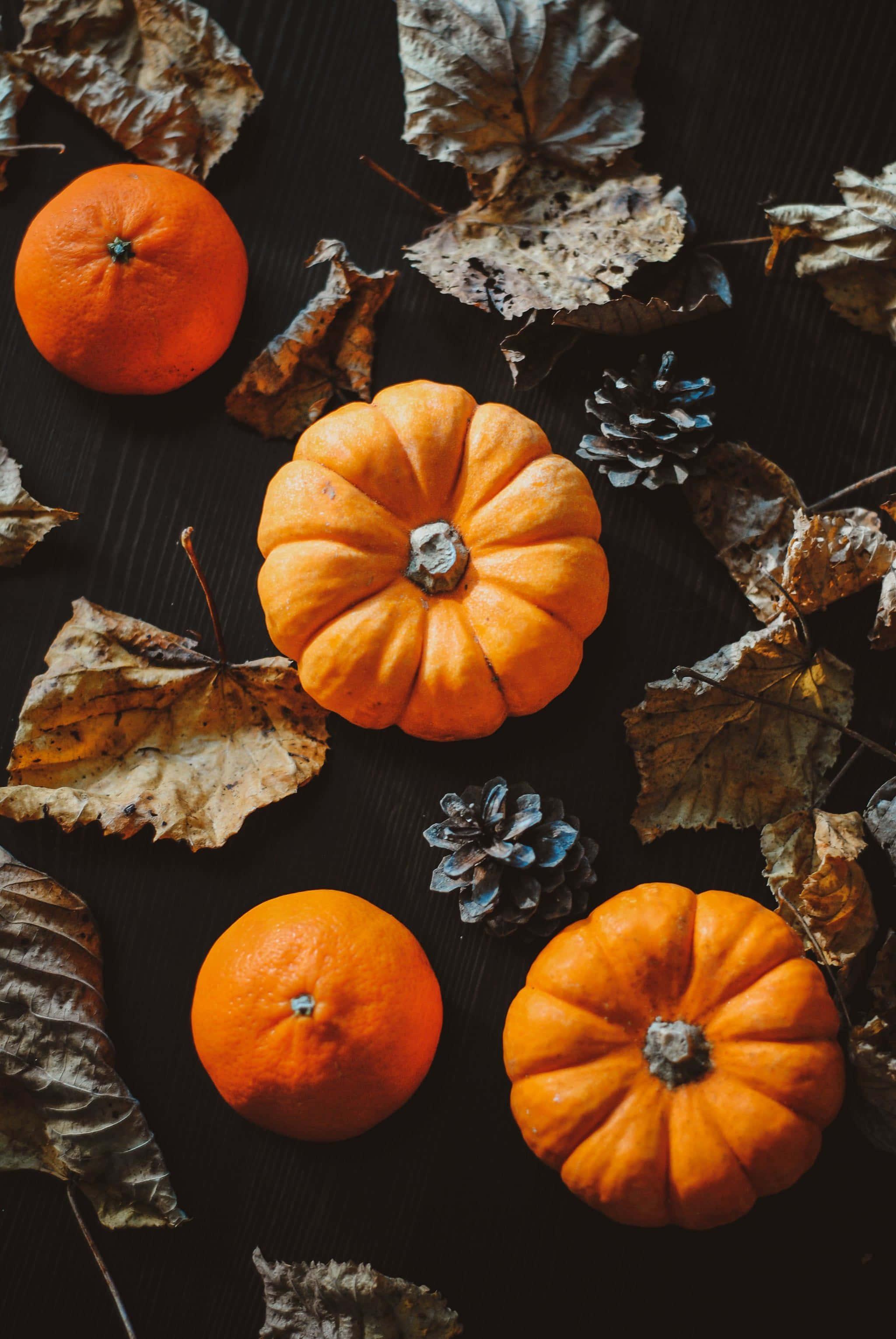 Enjoy the beauty of fall with an Iphone — 2048x3059 wallpaper