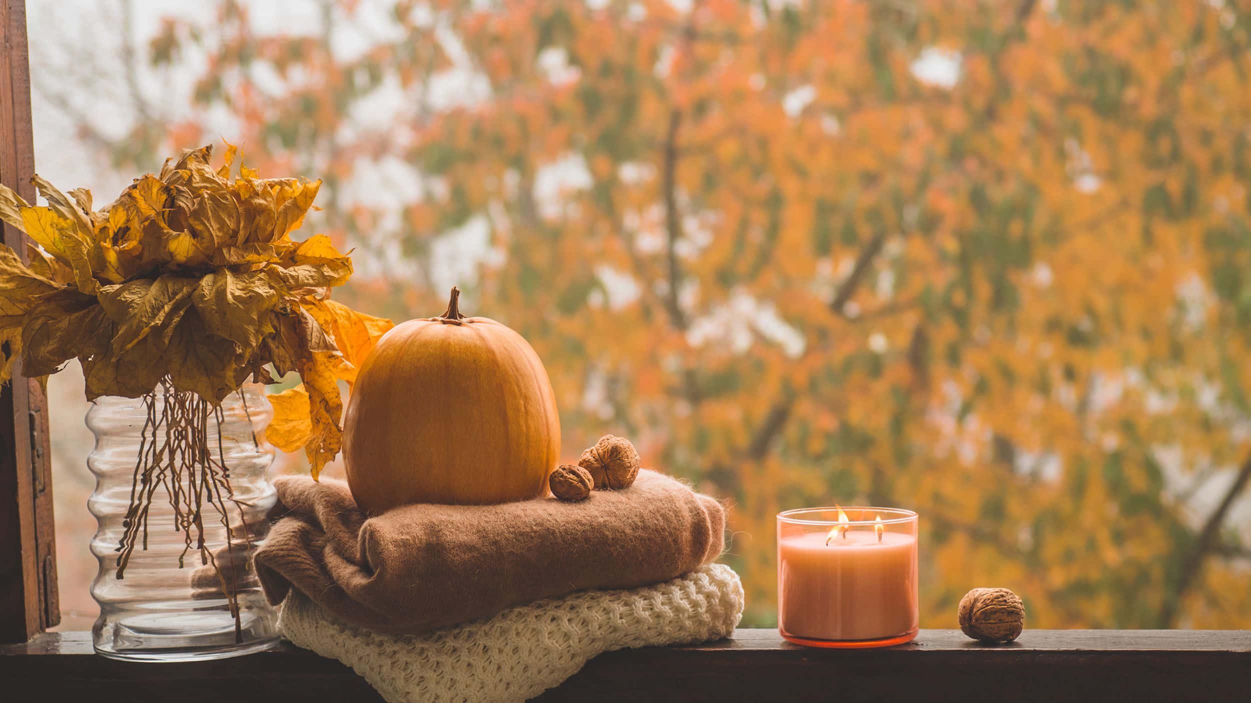 Enjoy the beauty of Fall with its vibrant colors — 2501x1406 wallpaper