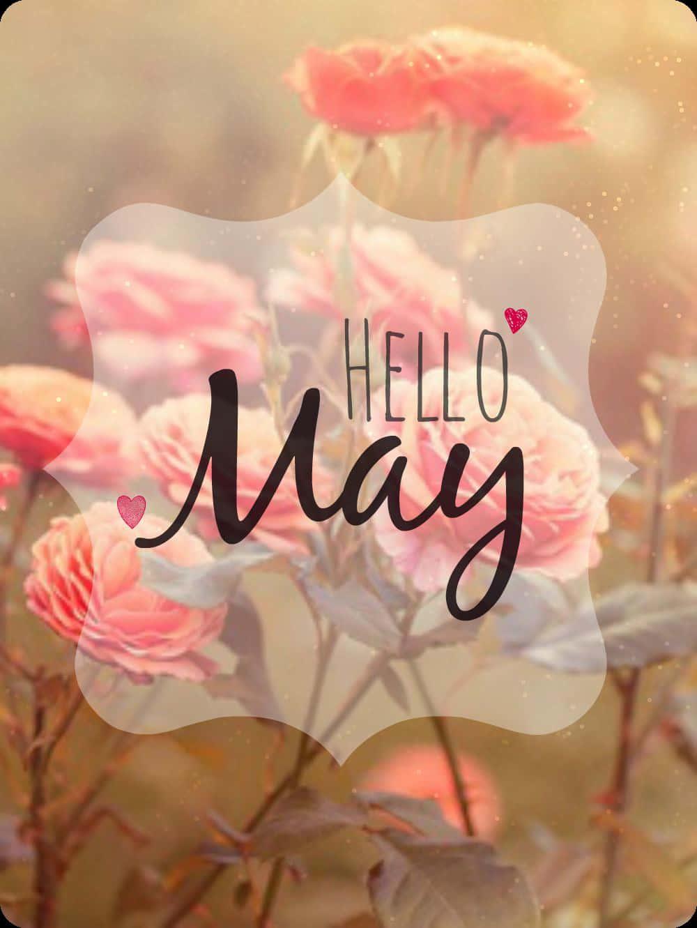 Enjoy the beauty of May — 1000x1331 wallpaper