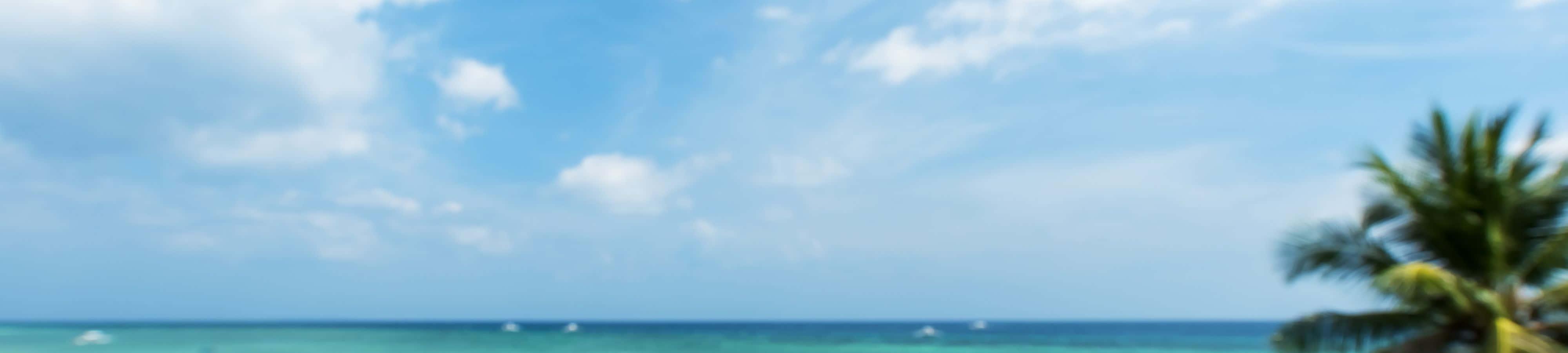 Enjoy the beauty of nature — 4000x900 wallpaper