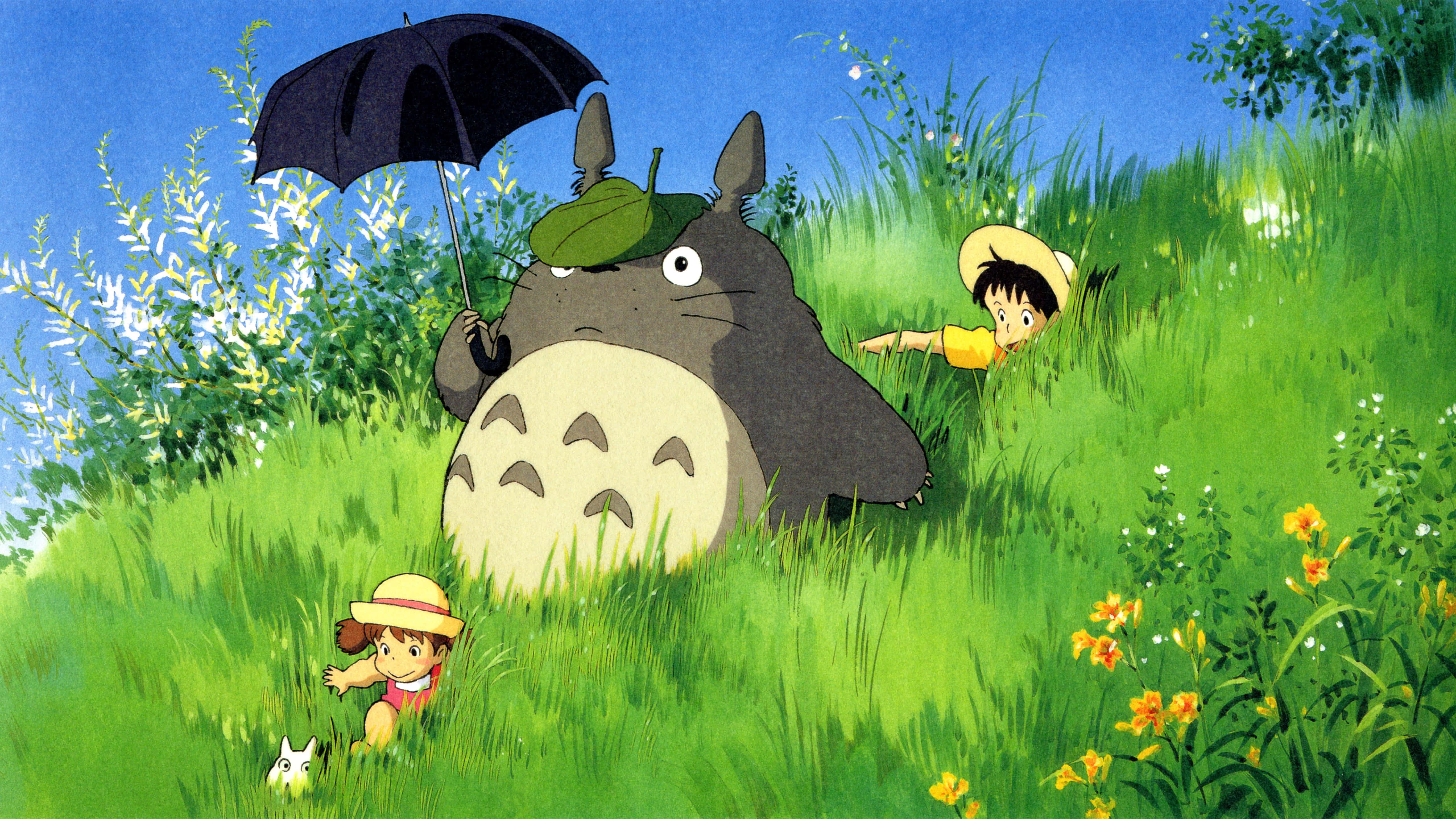 Enjoy the beauty of nature with Totoro — 5120x2880 wallpaper