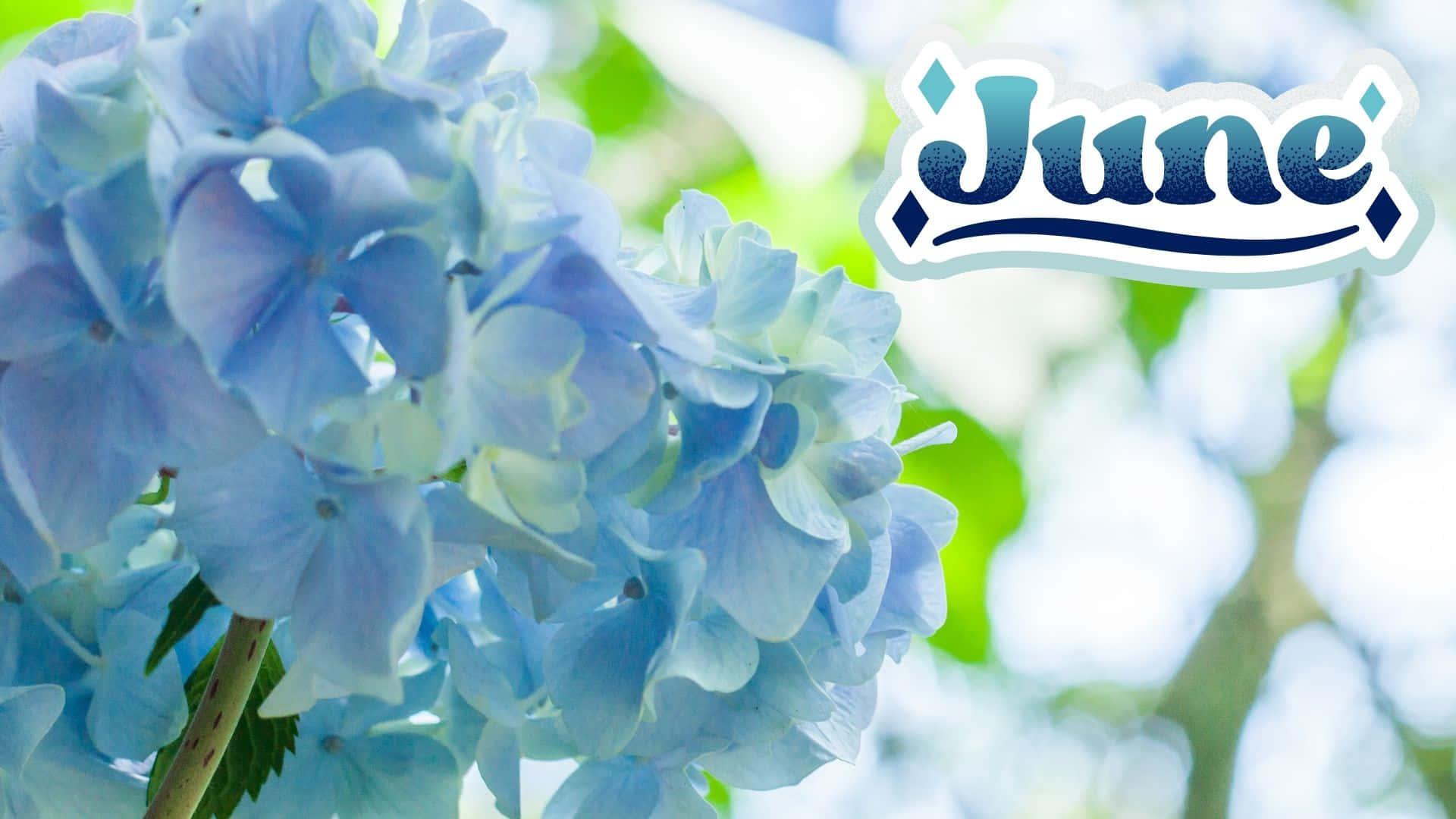 Enjoy the beauty of the month of June — 1920x1080 wallpaper