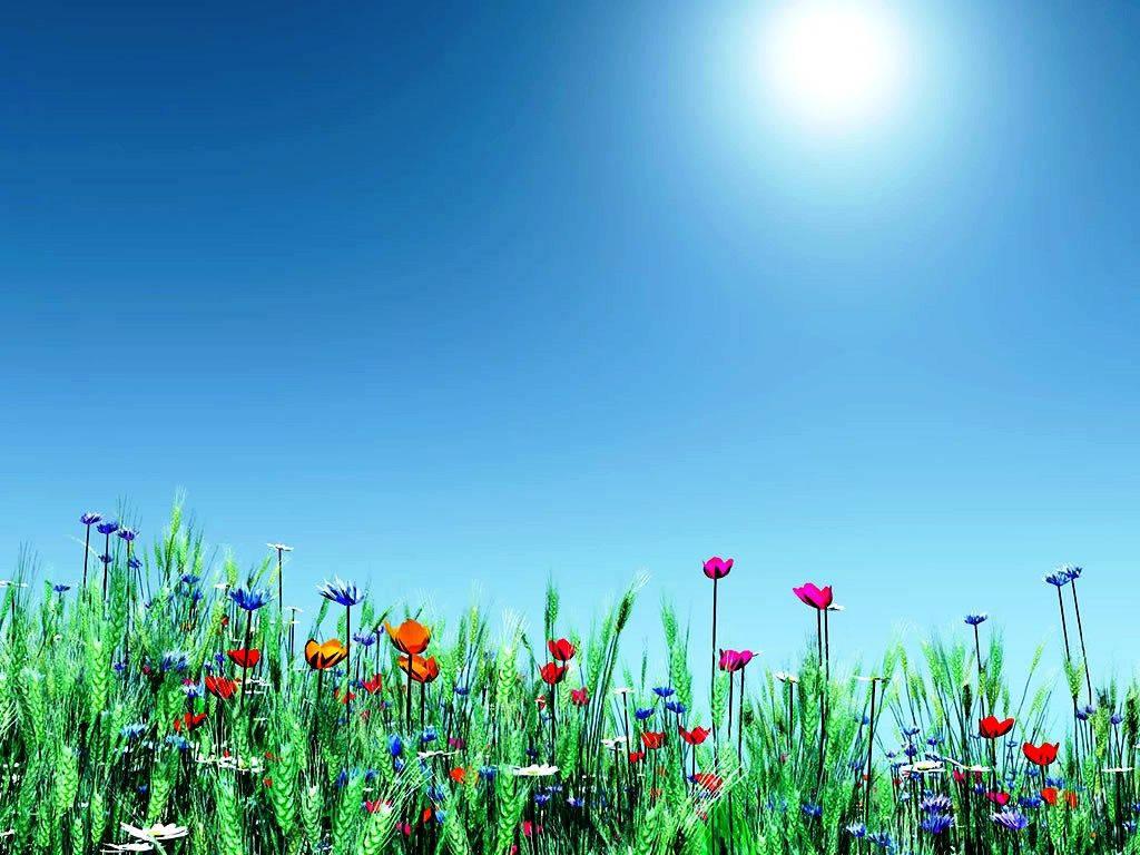 Enjoy the beauty of the season with a Spring Desktop — 1024x768 wallpaper