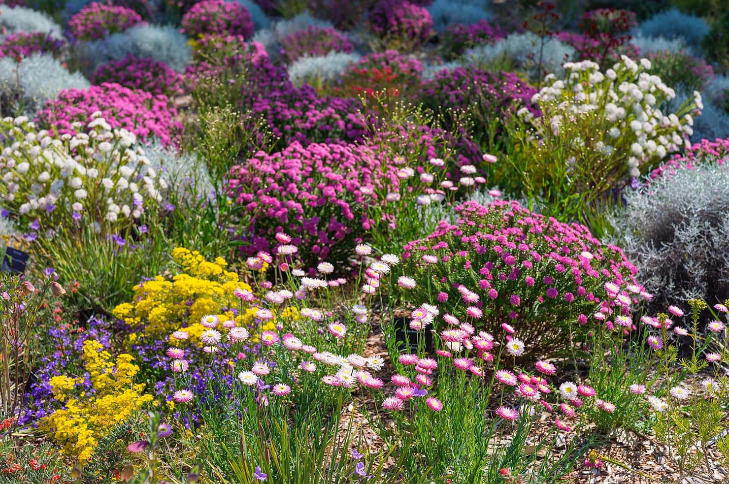 Enjoy the beauty of the Spring season with a stroll through a sun-drenched meadow! — 1480x983 wallpaper