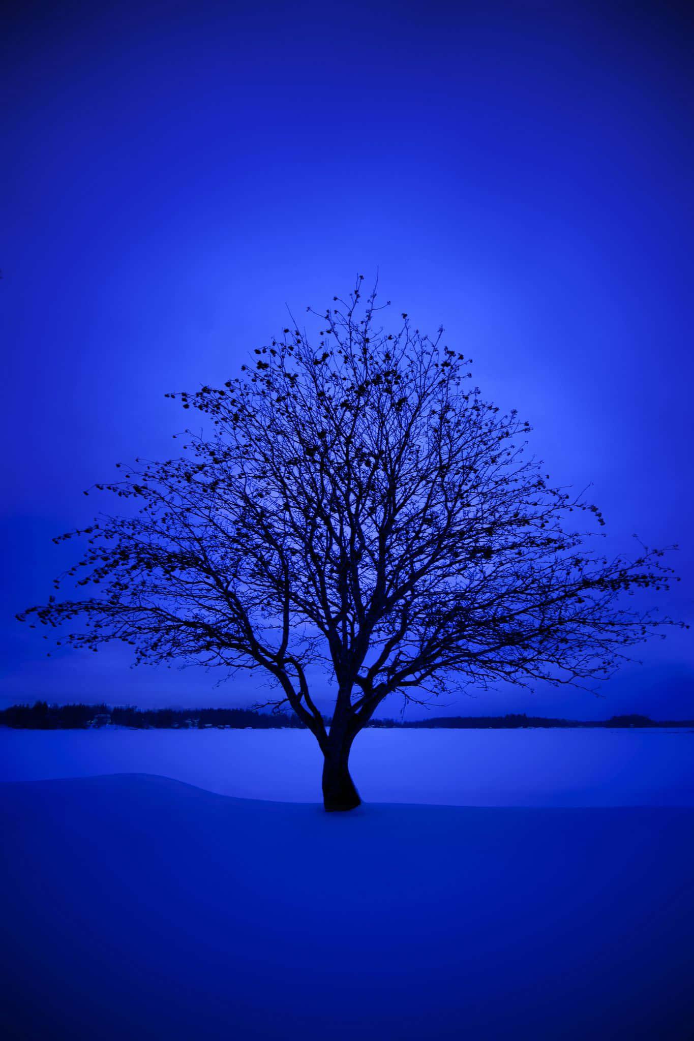 Enjoy the beauty of this blue aesthetic scene. — 1365x2048 wallpaper
