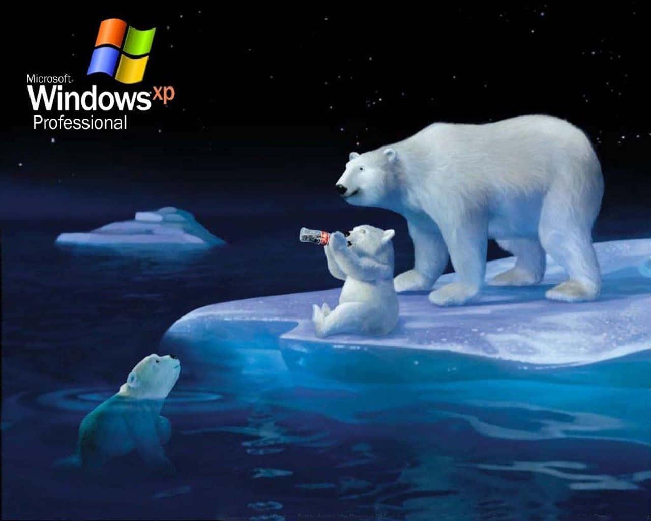 Enjoy the beauty of Windows XP — 1280x1024 wallpaper