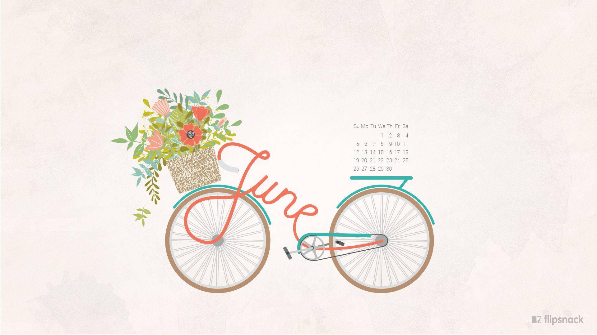 Enjoy The Best Of Summer On Bicycle — 1920x1080 wallpaper