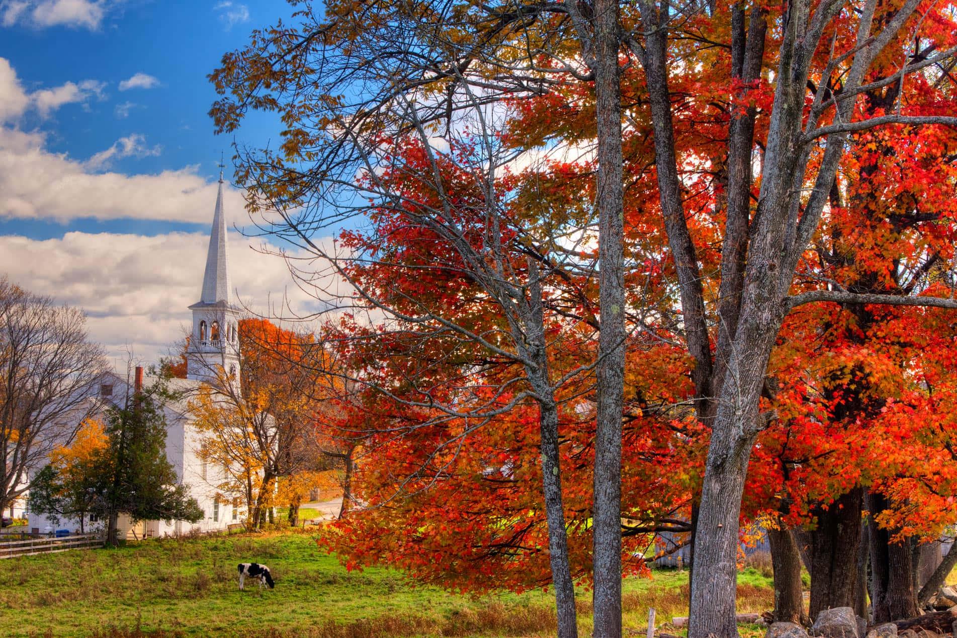 Enjoy the magical autumnal colors in nature. — 1903x1268 wallpaper