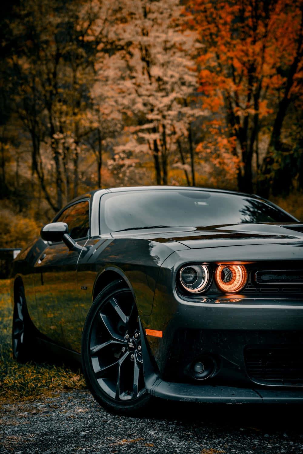 Enjoy the Power and Style of the Dodge Challenger 4K — 1000x1499 wallpaper