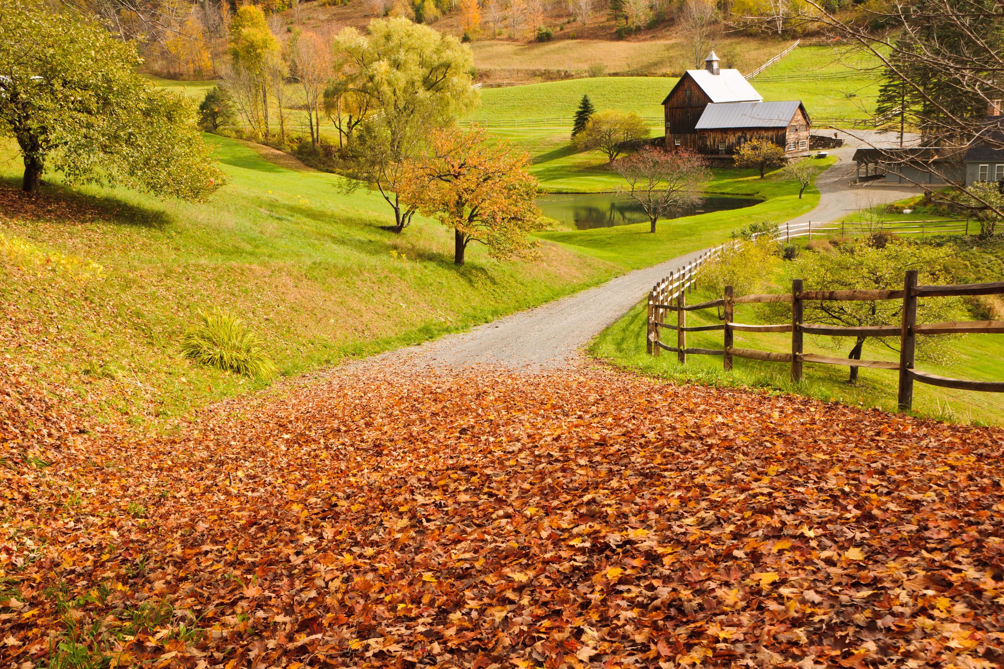 Enjoy the scenic beauty of fall — 3288x2192 wallpaper