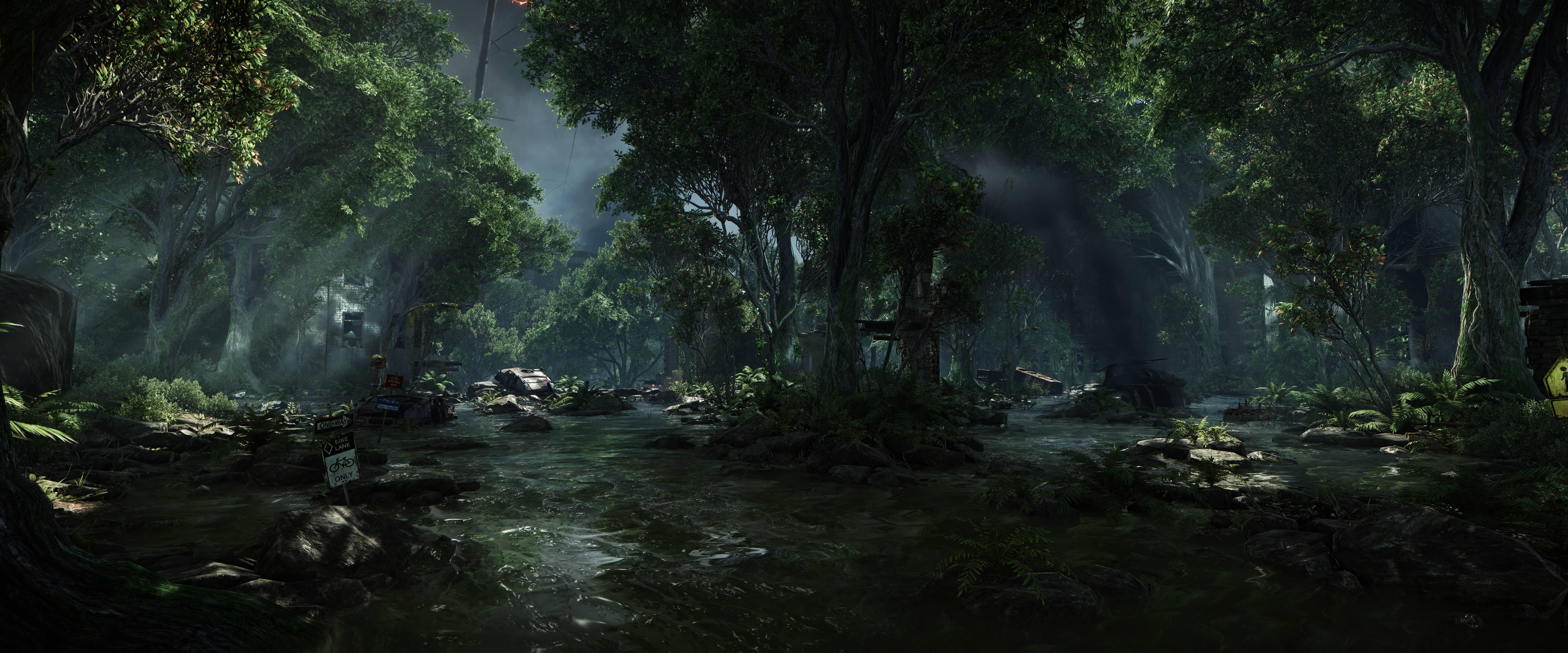 Enjoy the serene beauty of a forest on the dual monitor setup — 8000x3333 wallpaper