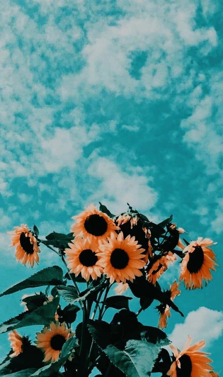 Enjoy the summer and dive into a world of natural beauty! — 736x1245 wallpaper