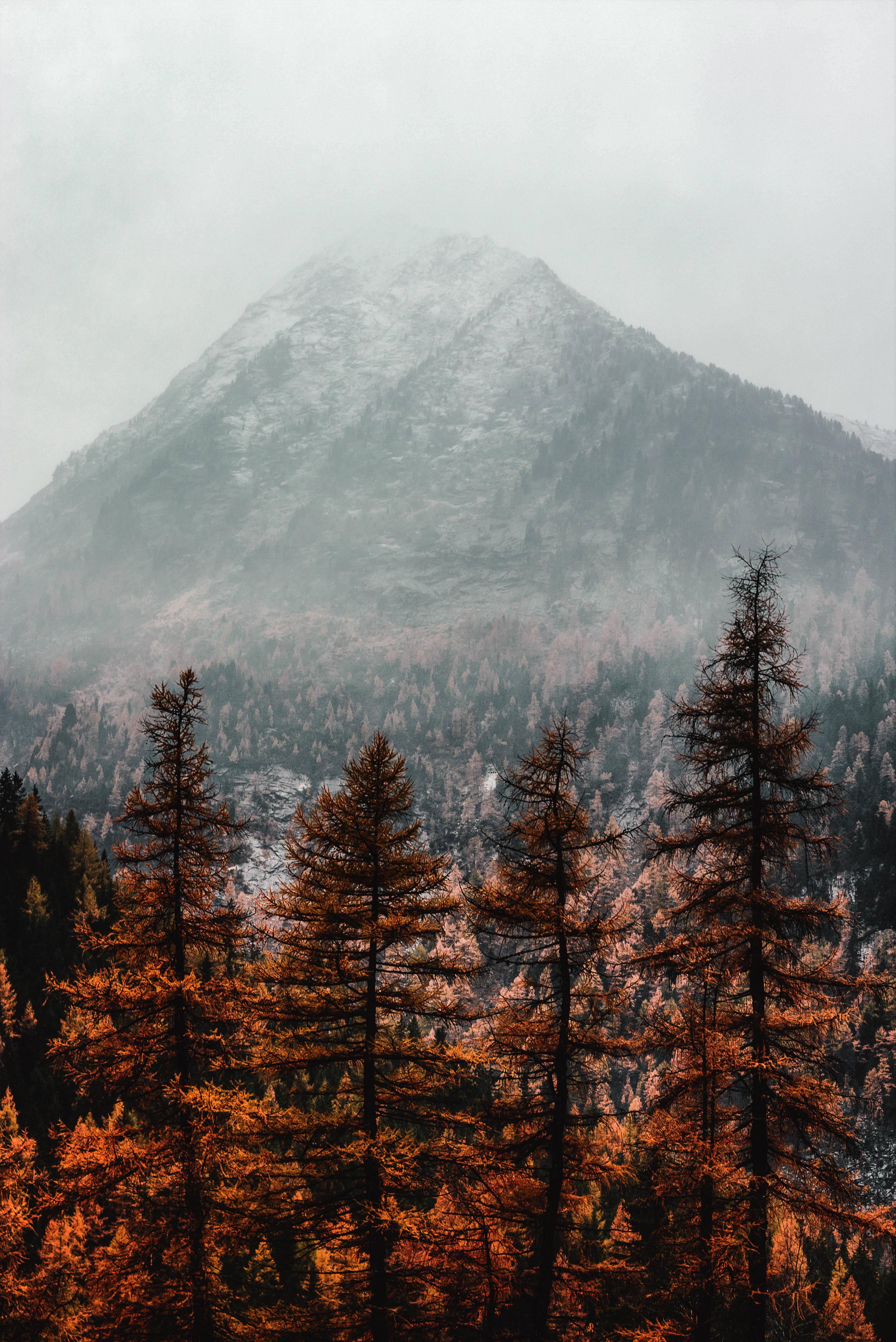 Enjoy the tranquility of nature this Fall. — 3670x5496 wallpaper