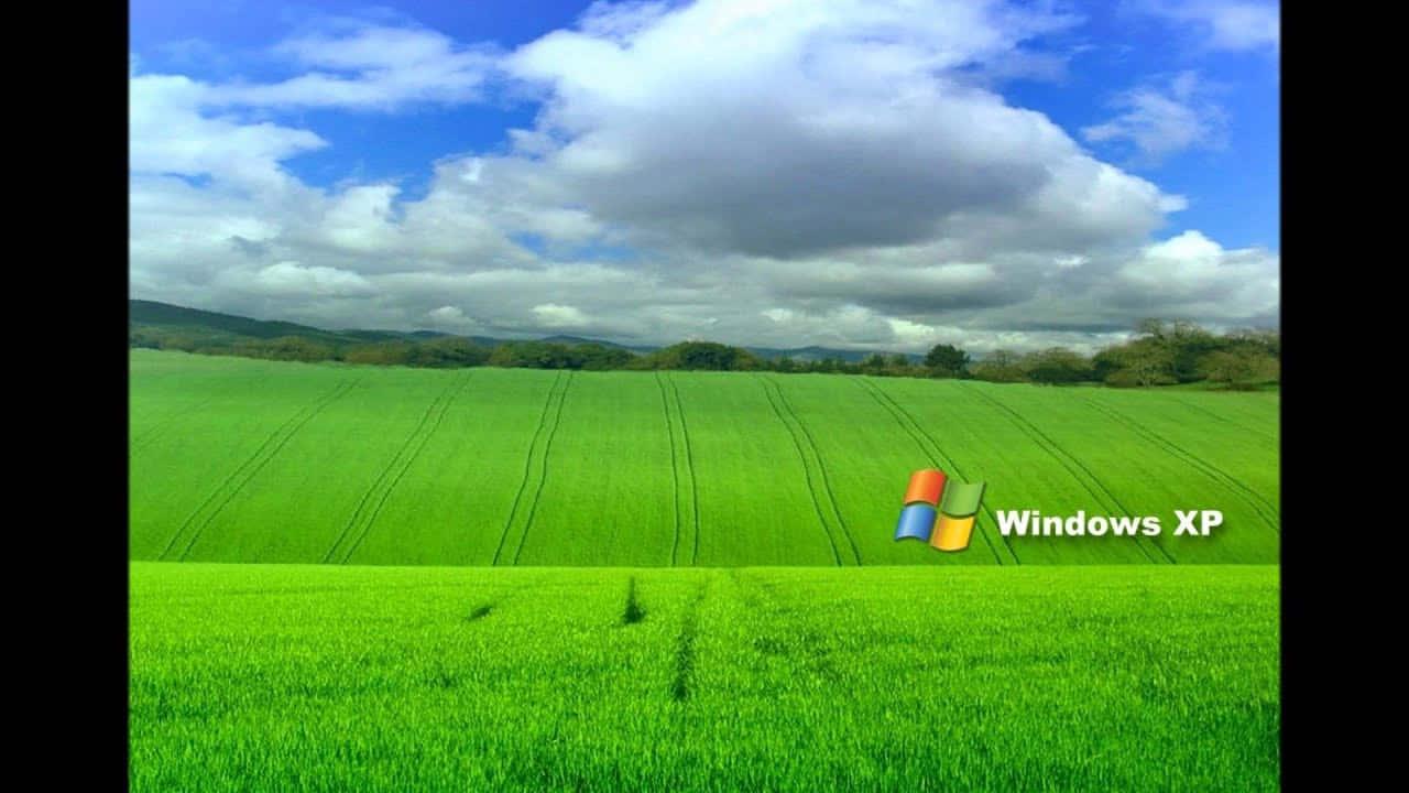 Enjoy the ultimate user experience with Windows XP — 1280x720 wallpaper